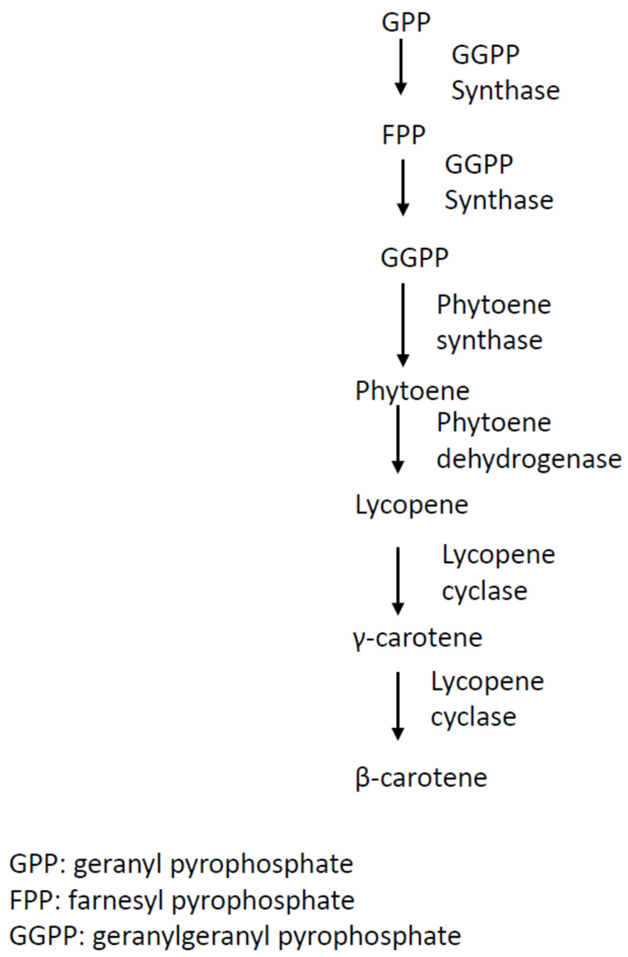 Jof 09 00044 g001 Jof 09 00044 g001