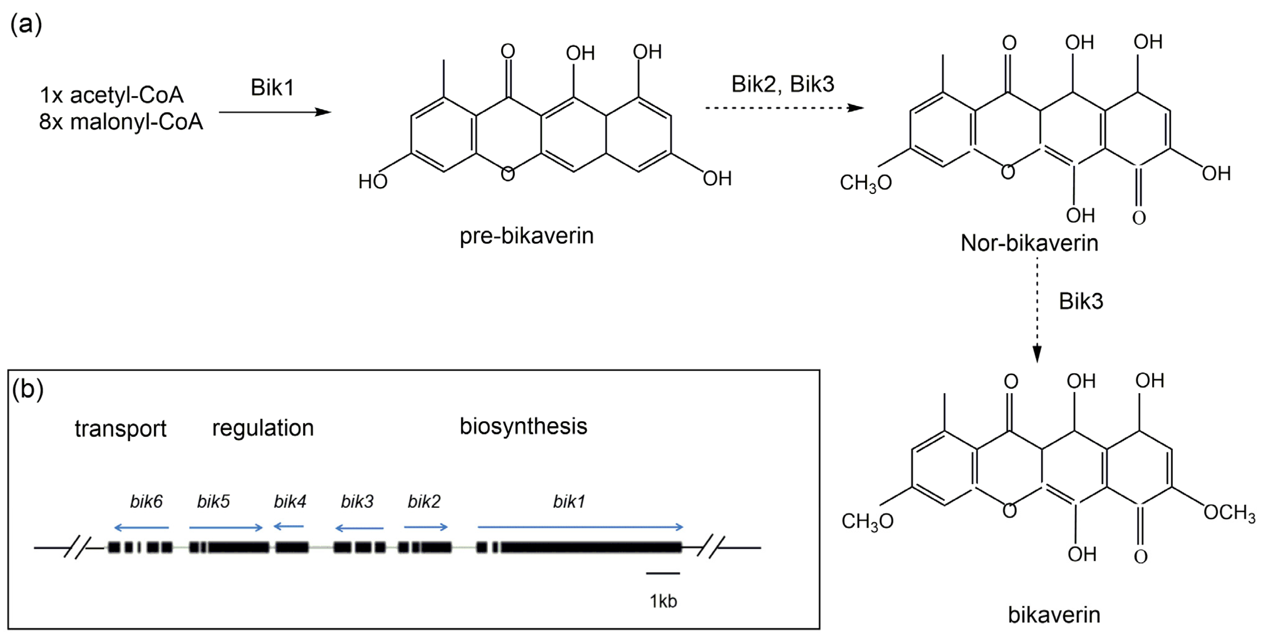 Jof 09 00044 g003 Jof 09 00044 g003