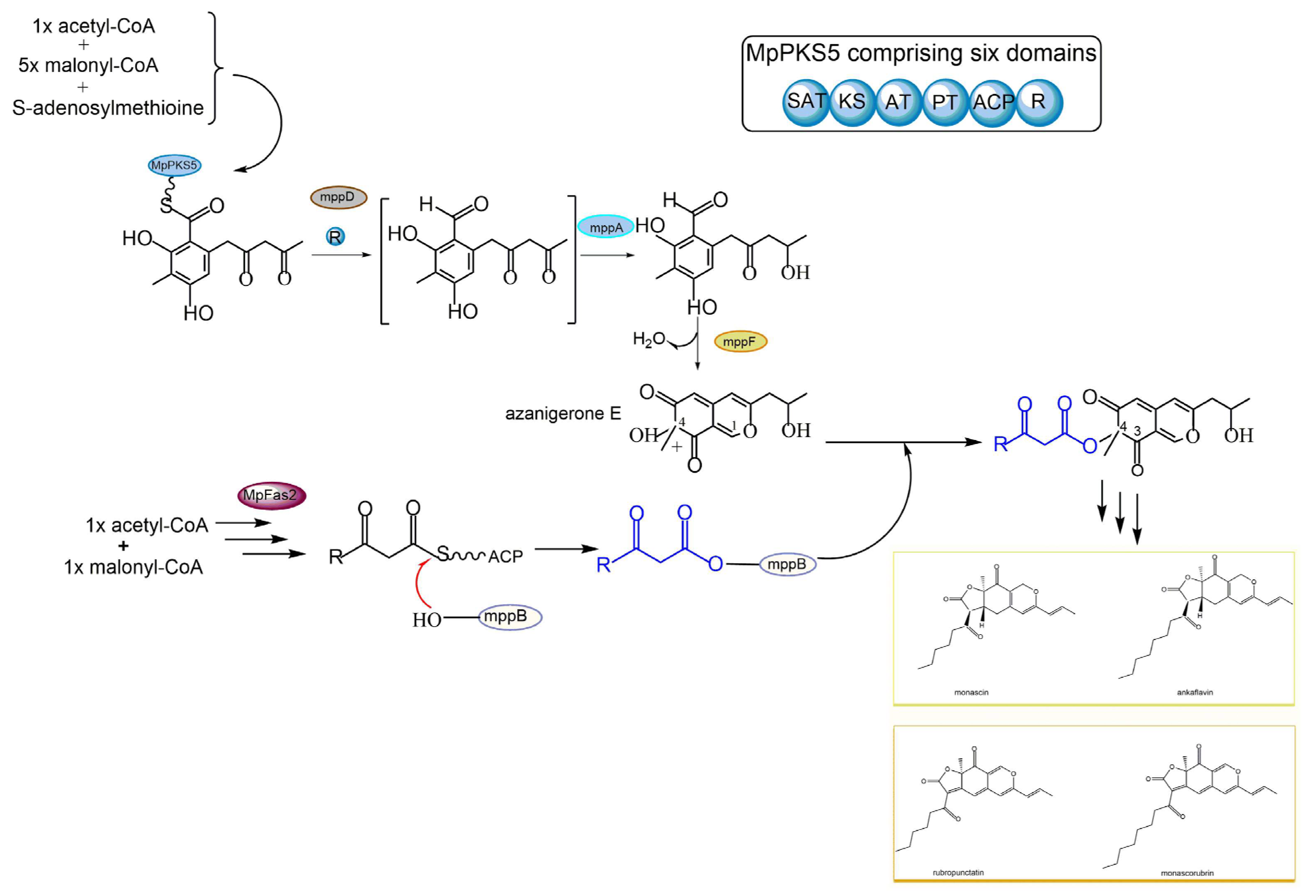 Jof 09 00044 g004 Jof 09 00044 g004
