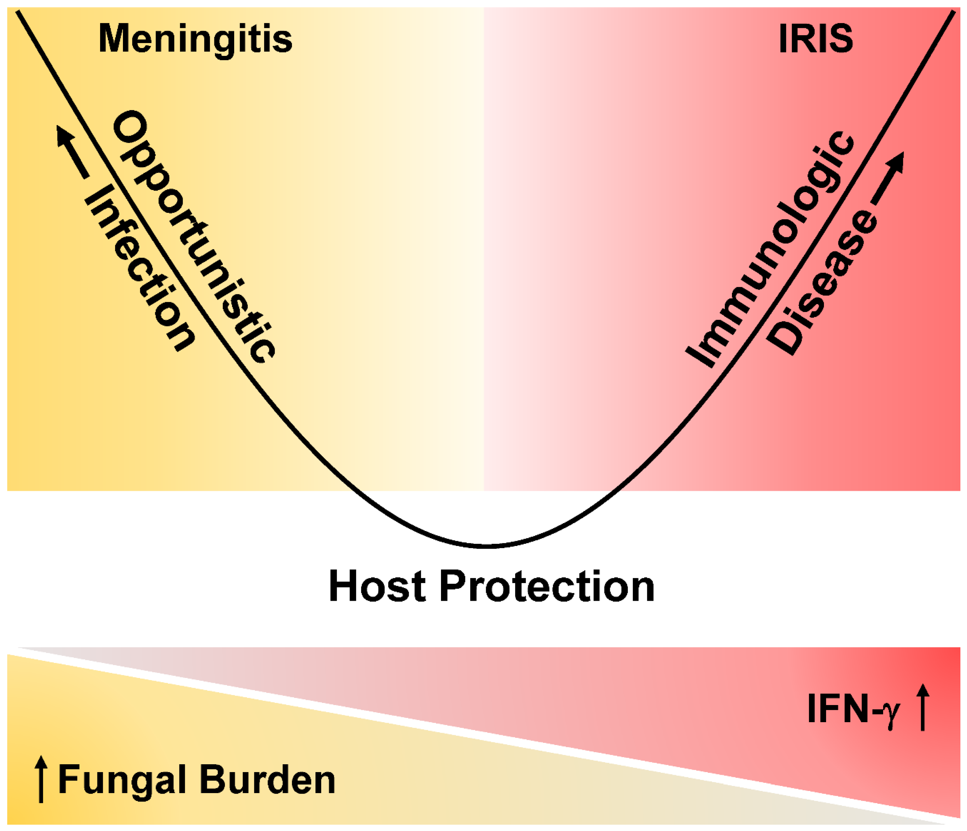 Jof 09 00046 g002 Jof 09 00046 g002