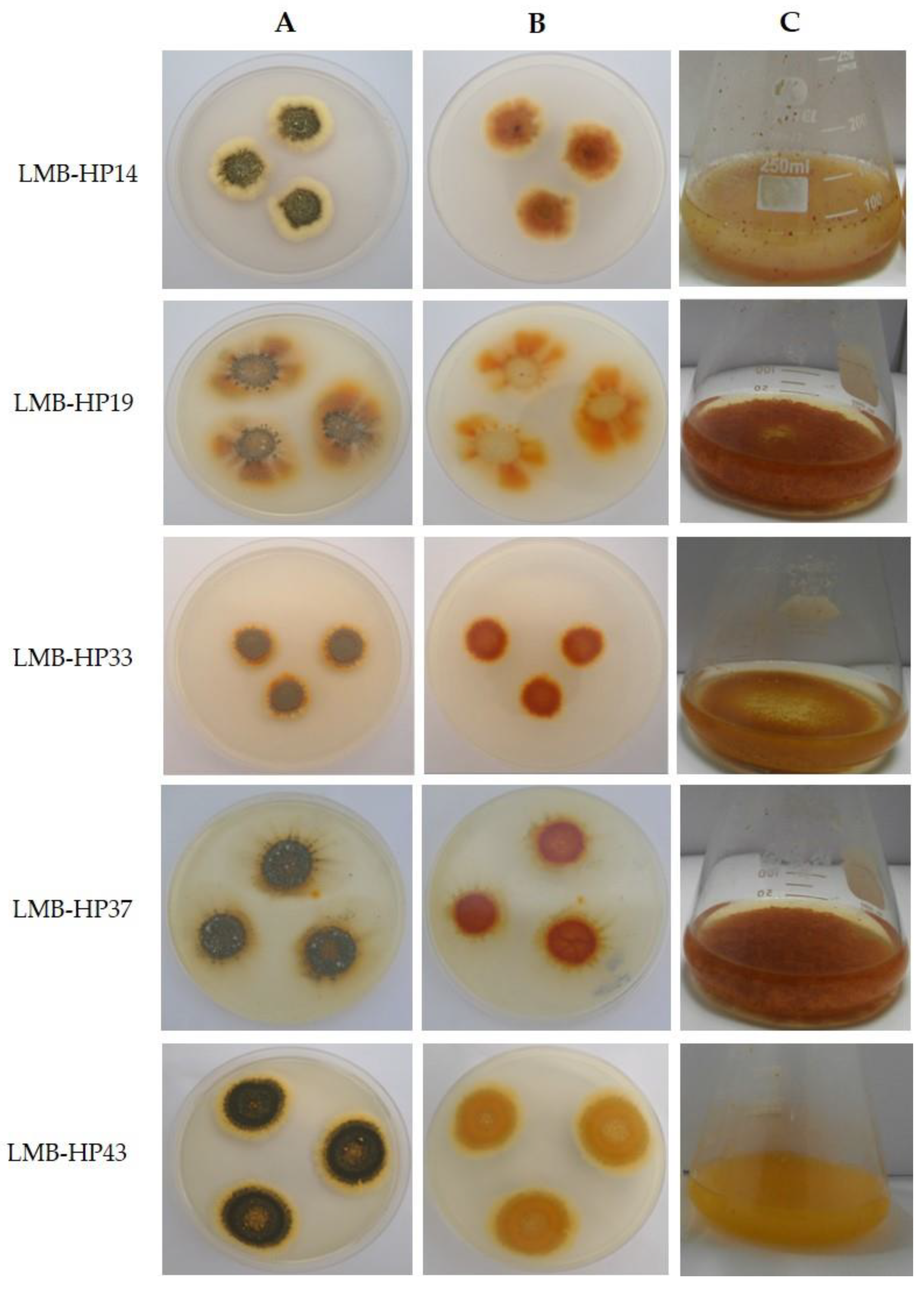 Jof 09 00048 g001 Jof 09 00048 g001