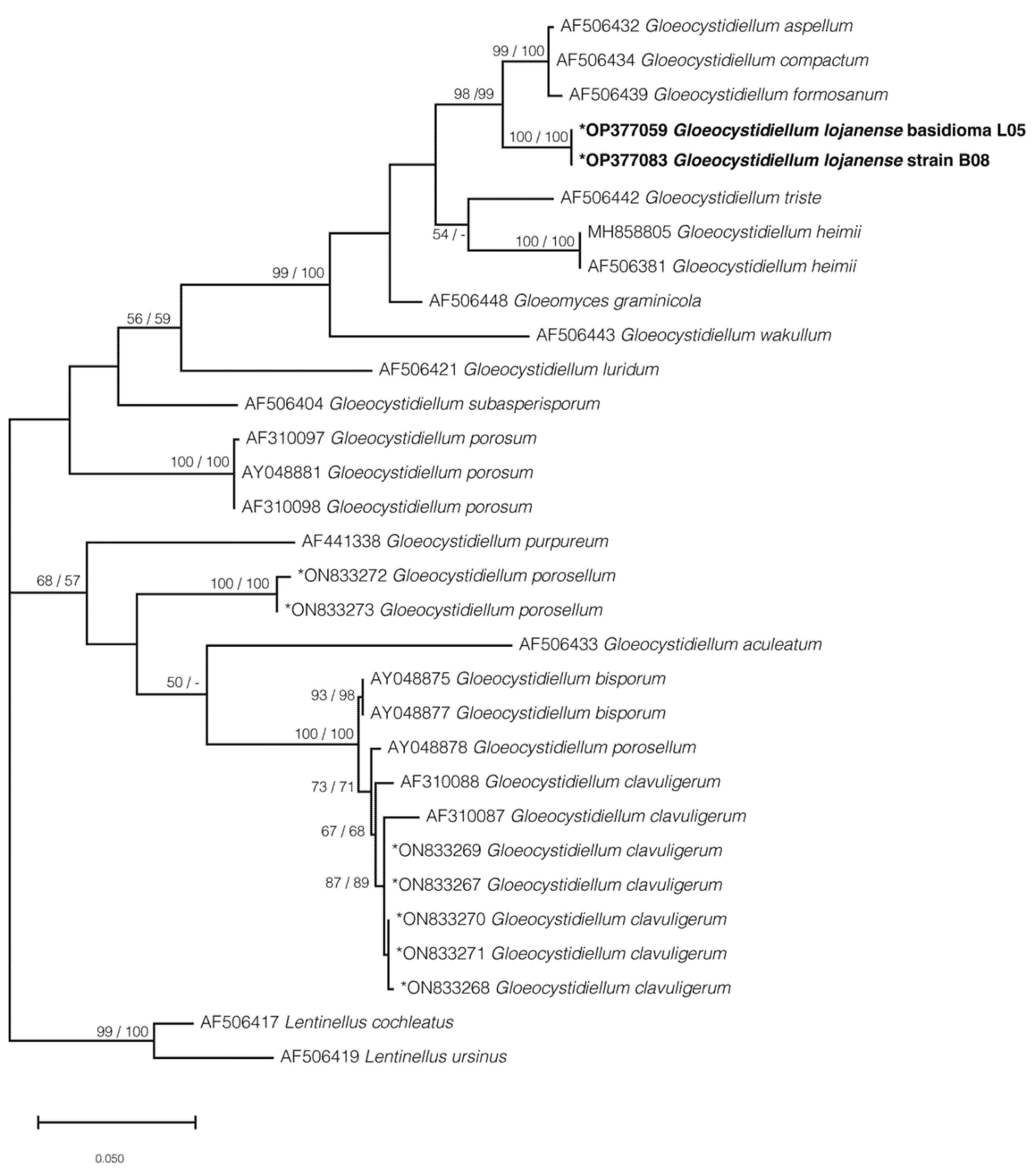 Jof 09 00054 g004 Jof 09 00054 g004