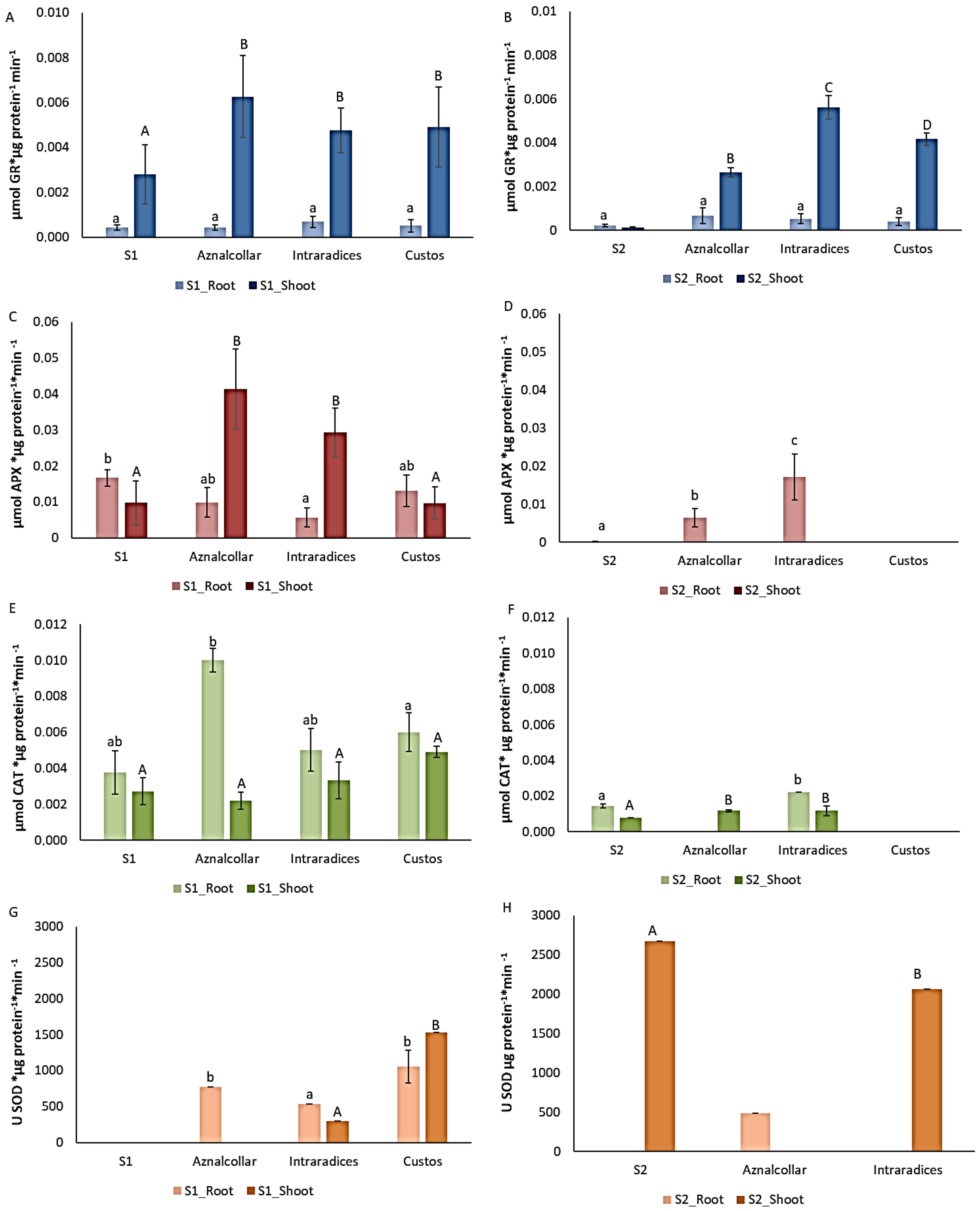 Jof 09 00056 g005 Jof 09 00056 g005