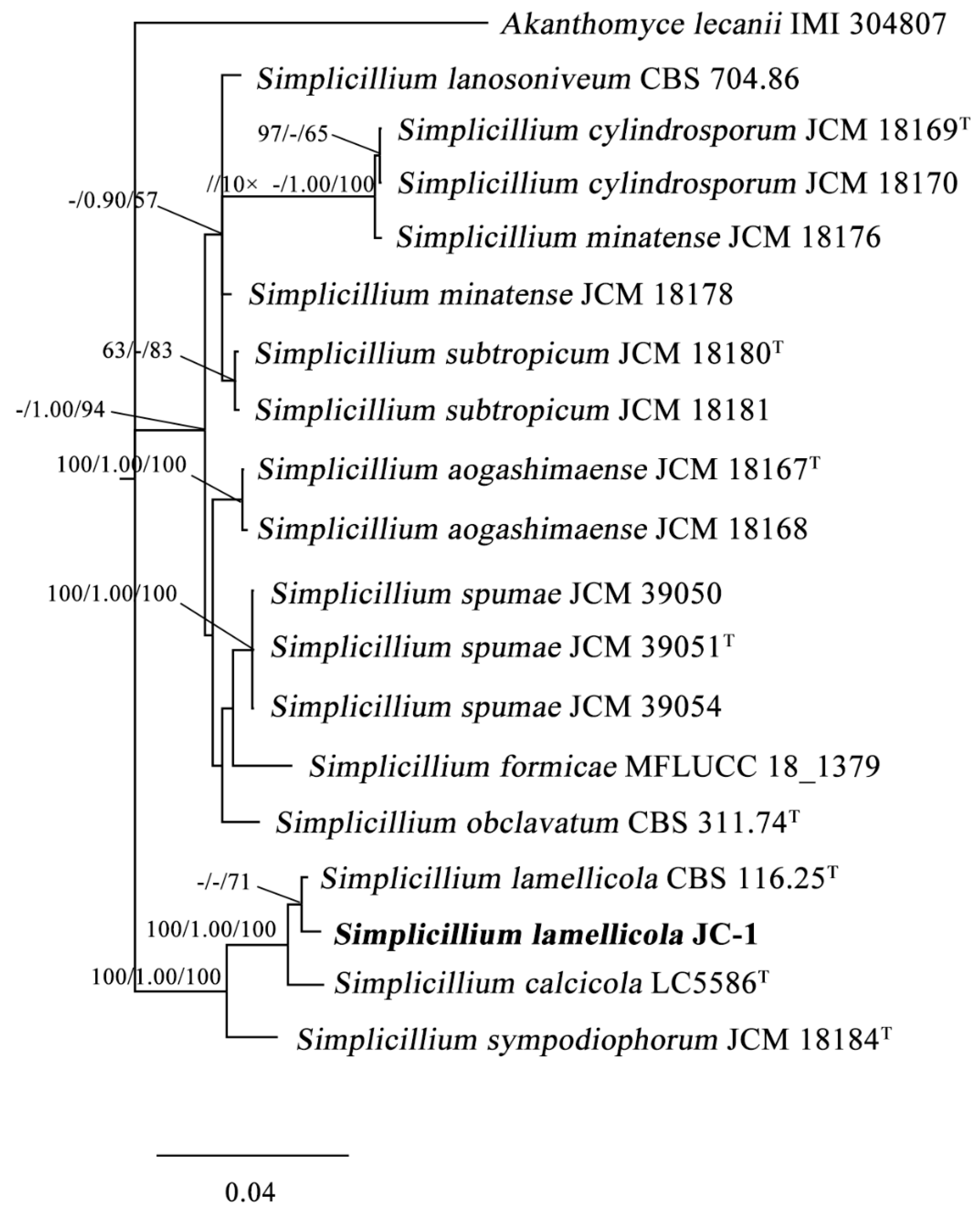 Jof 09 00057 g002 Jof 09 00057 g002
