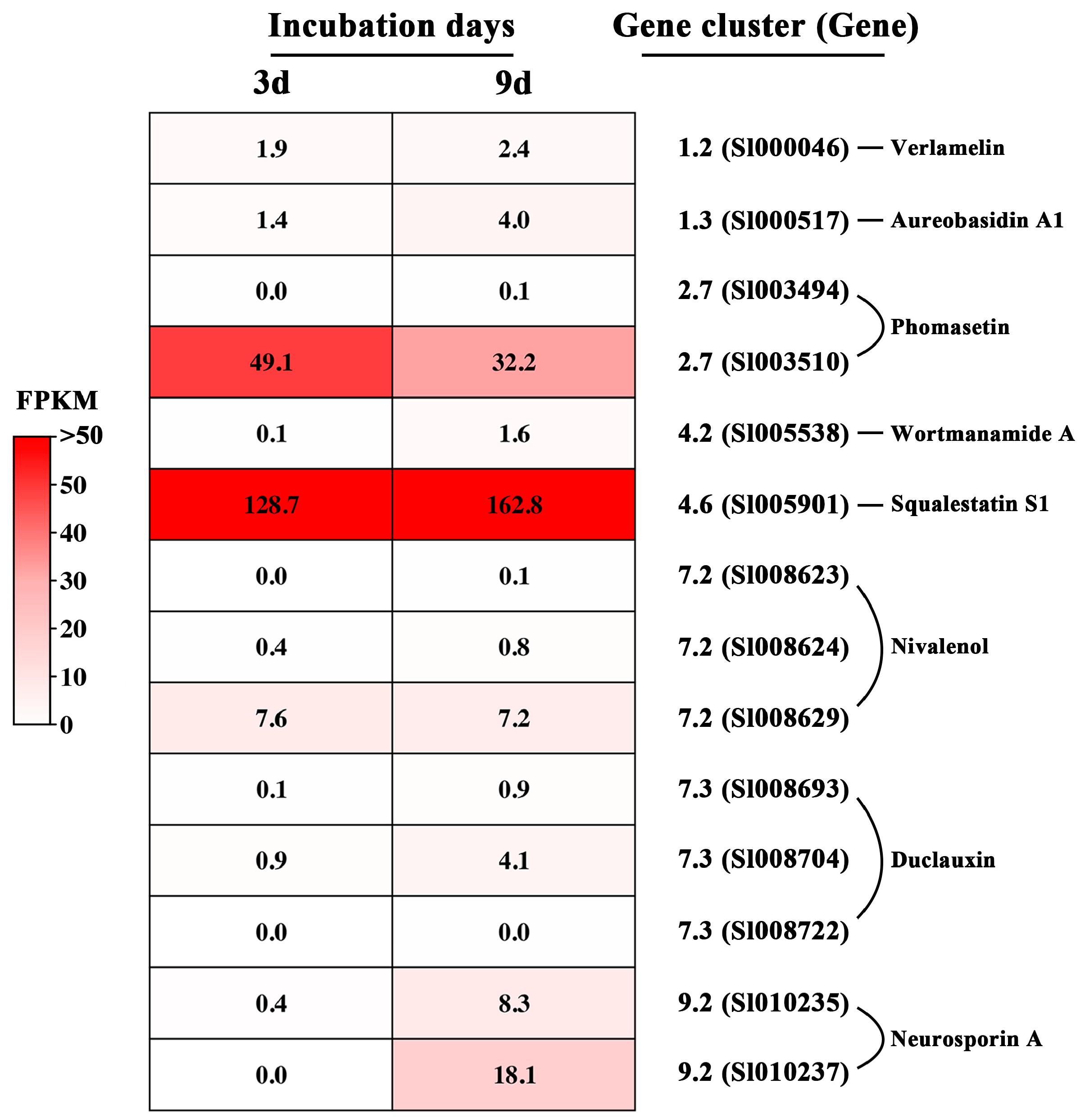 Jof 09 00057 g004 Jof 09 00057 g004