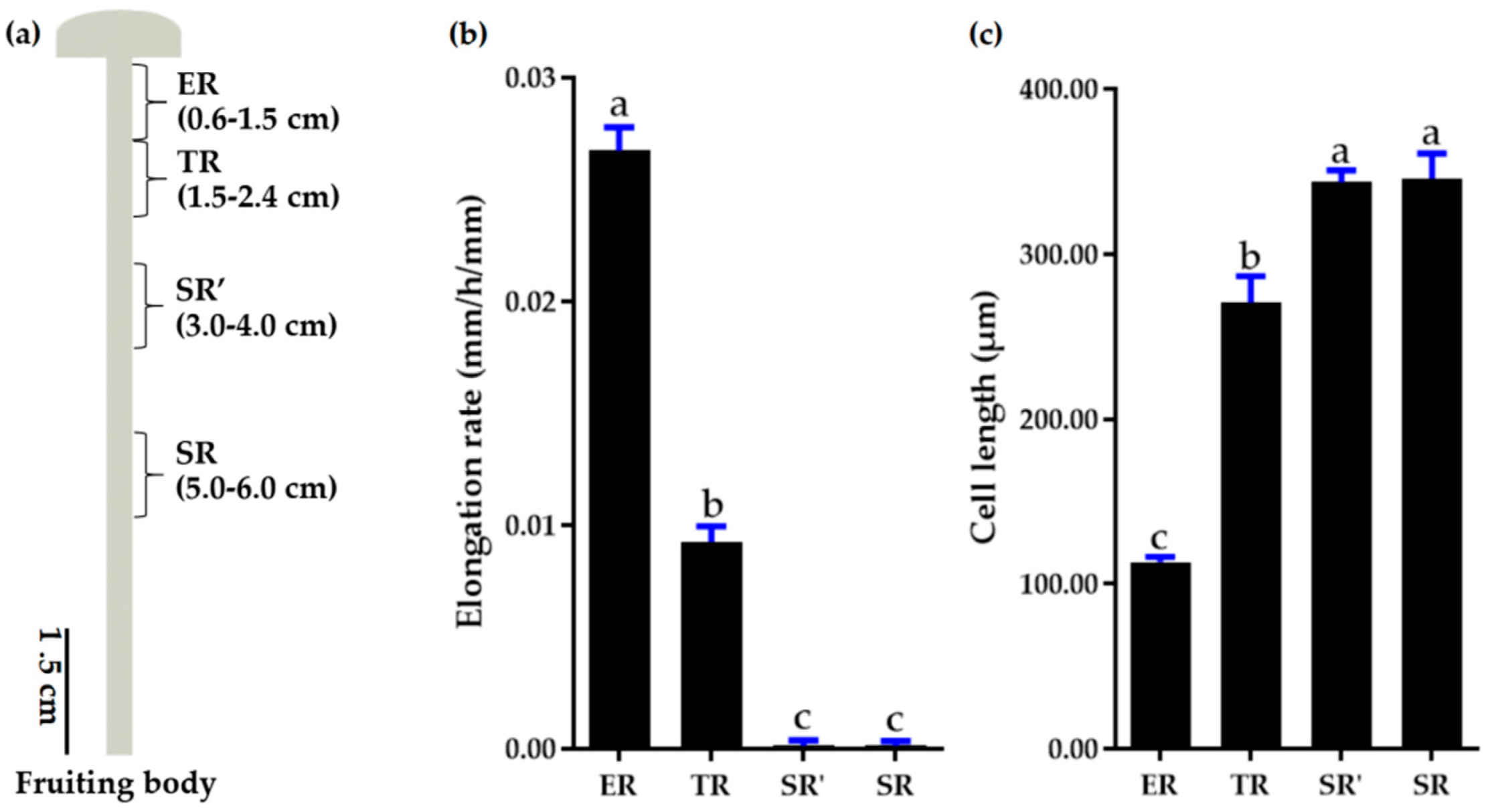 Jof 09 00064 g001 Jof 09 00064 g001