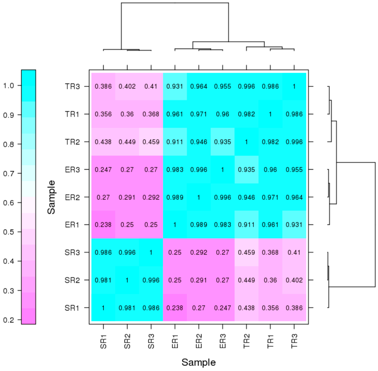 Jof 09 00064 g002 Jof 09 00064 g002