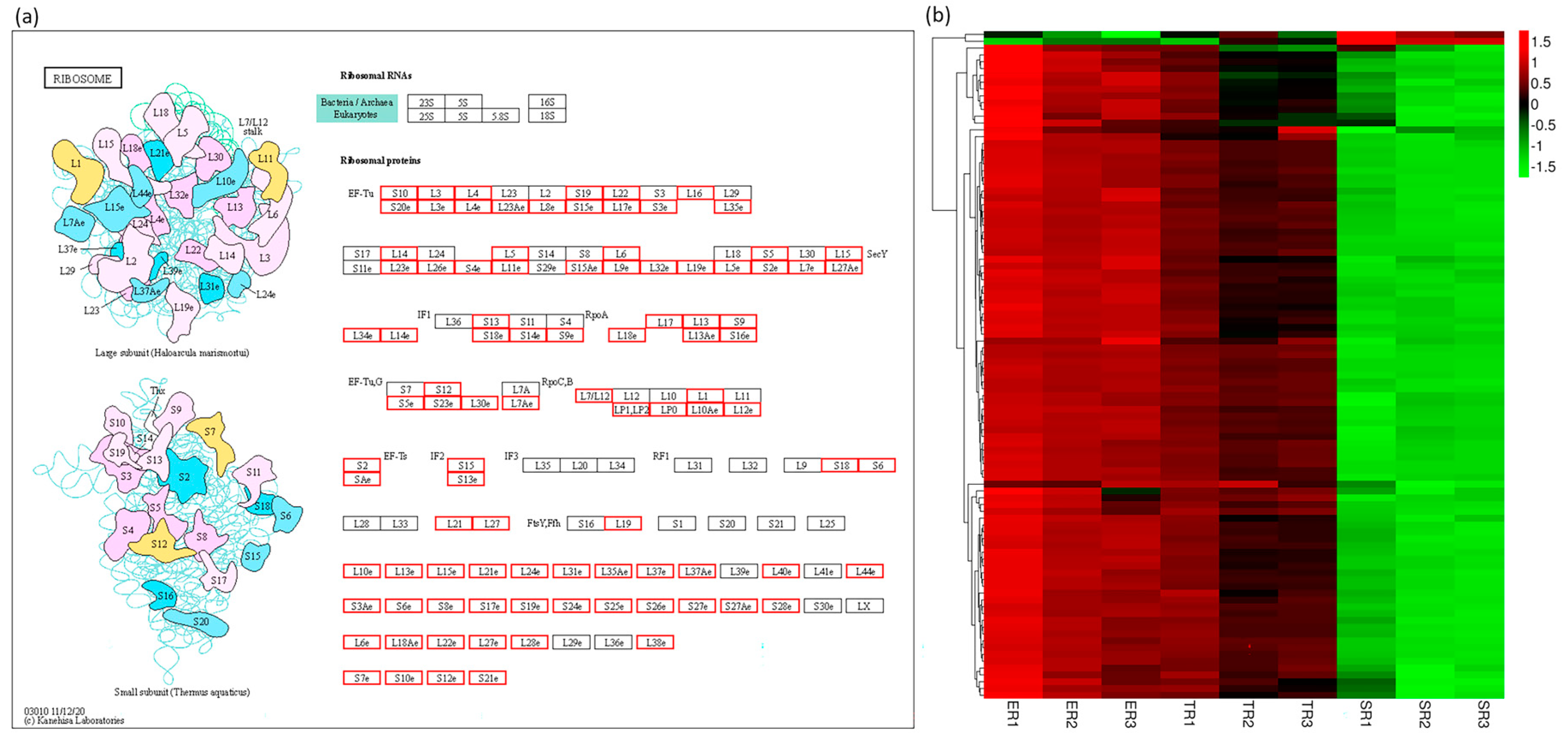 Jof 09 00064 g009 Jof 09 00064 g009