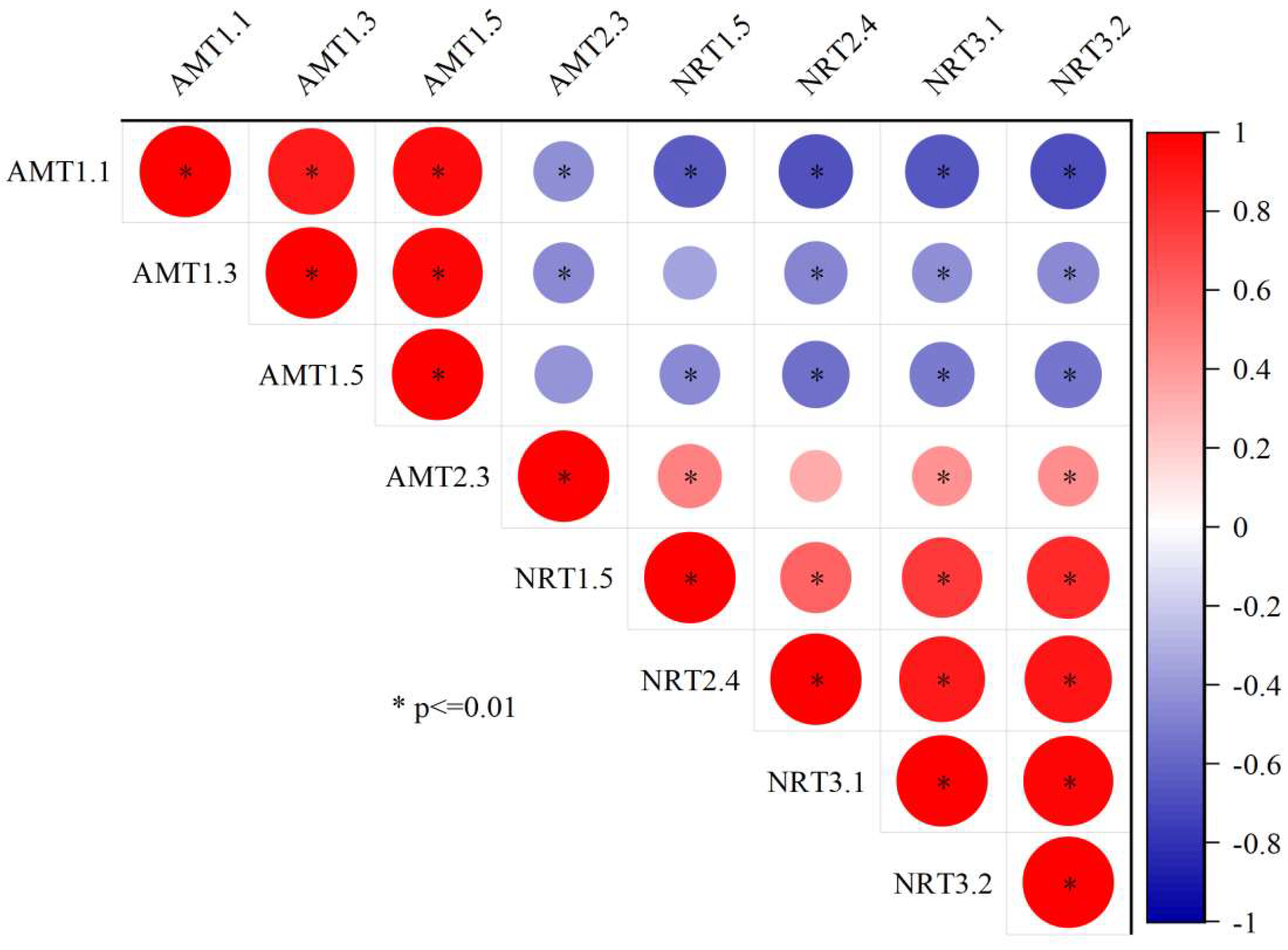 Jof 09 00065 g005 Jof 09 00065 g005