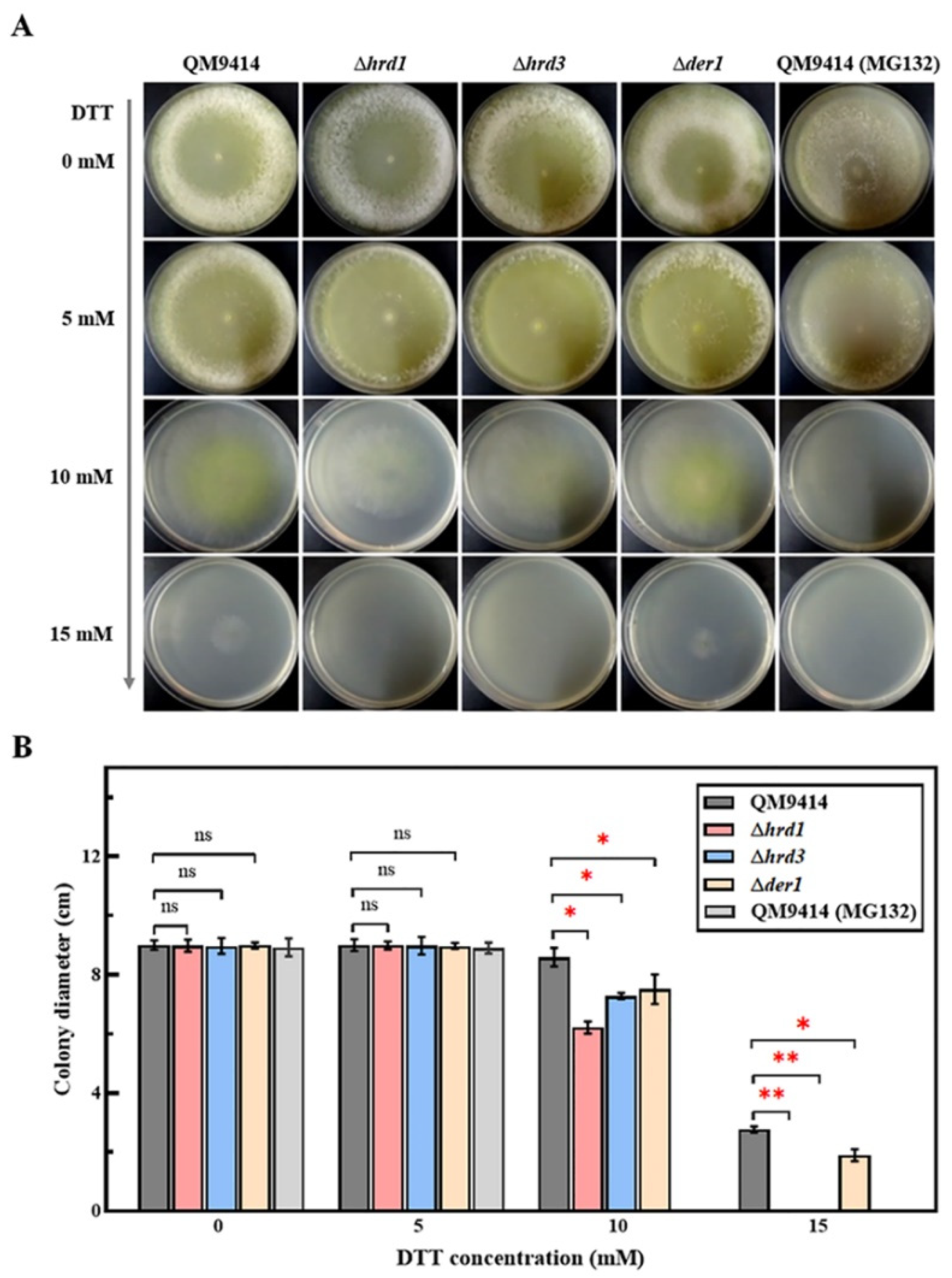 Jof 09 00074 g001 Jof 09 00074 g001