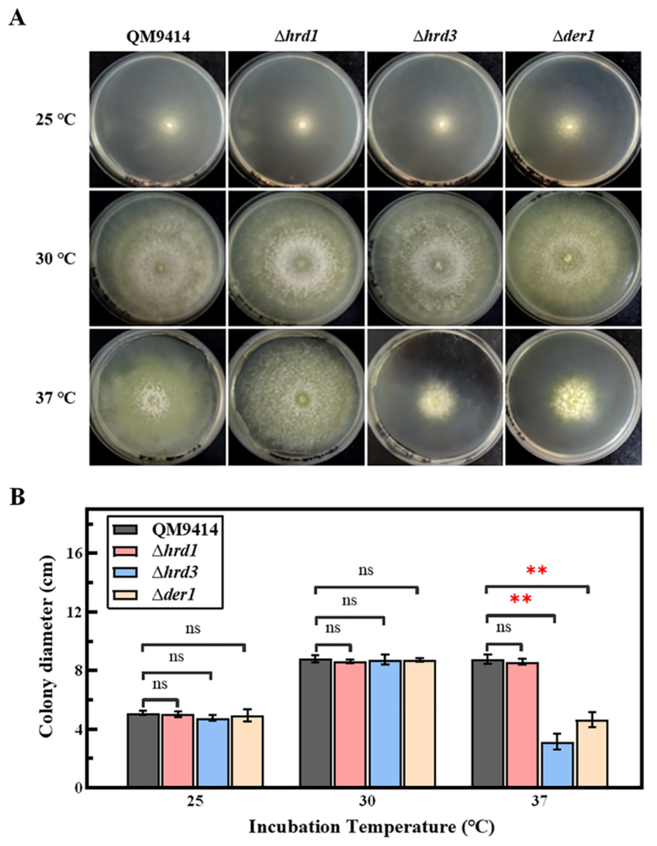 Jof 09 00074 g003 Jof 09 00074 g003
