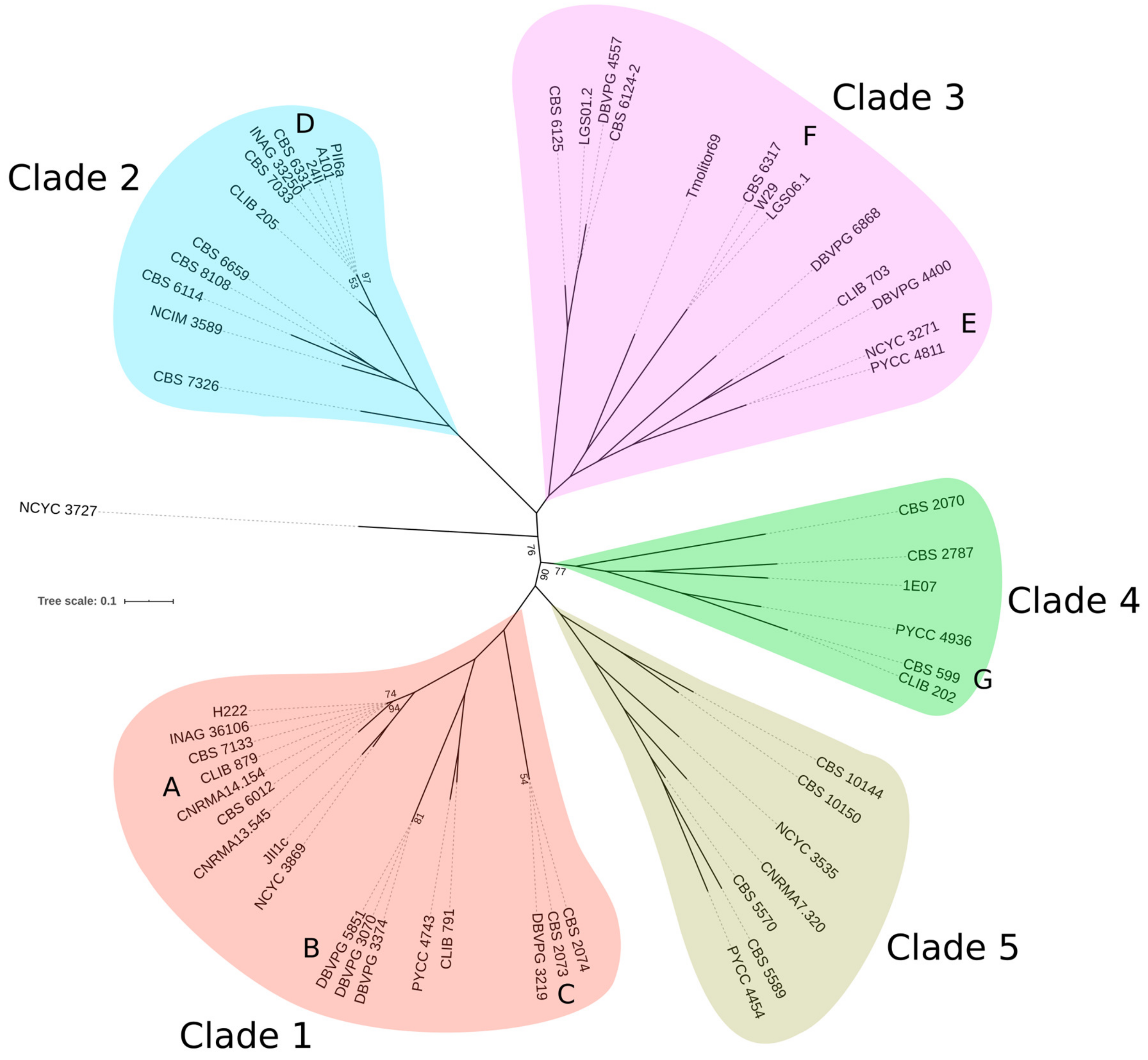 Jof 09 00076 g001 Jof 09 00076 g001