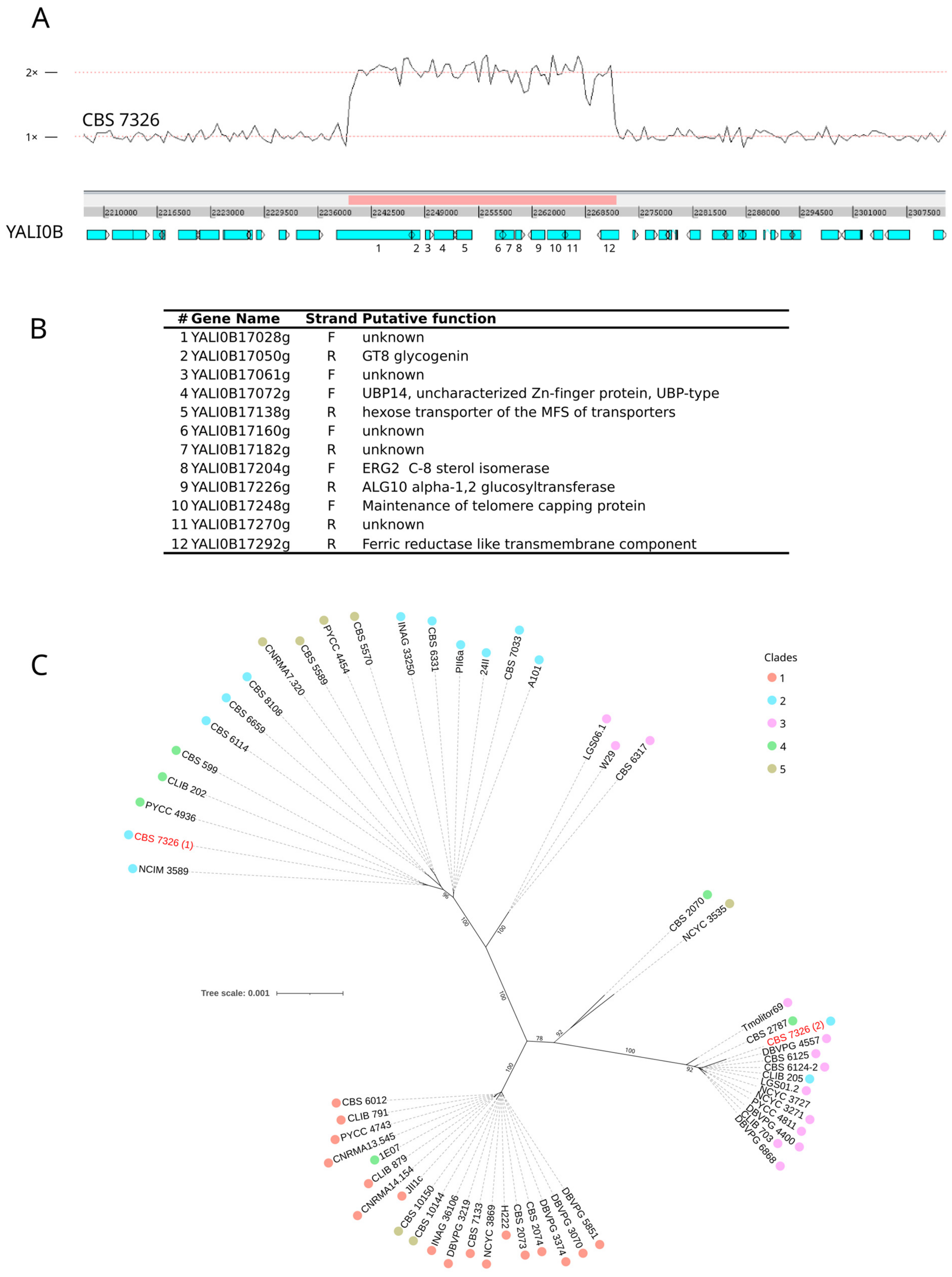 Jof 09 00076 g002 Jof 09 00076 g002