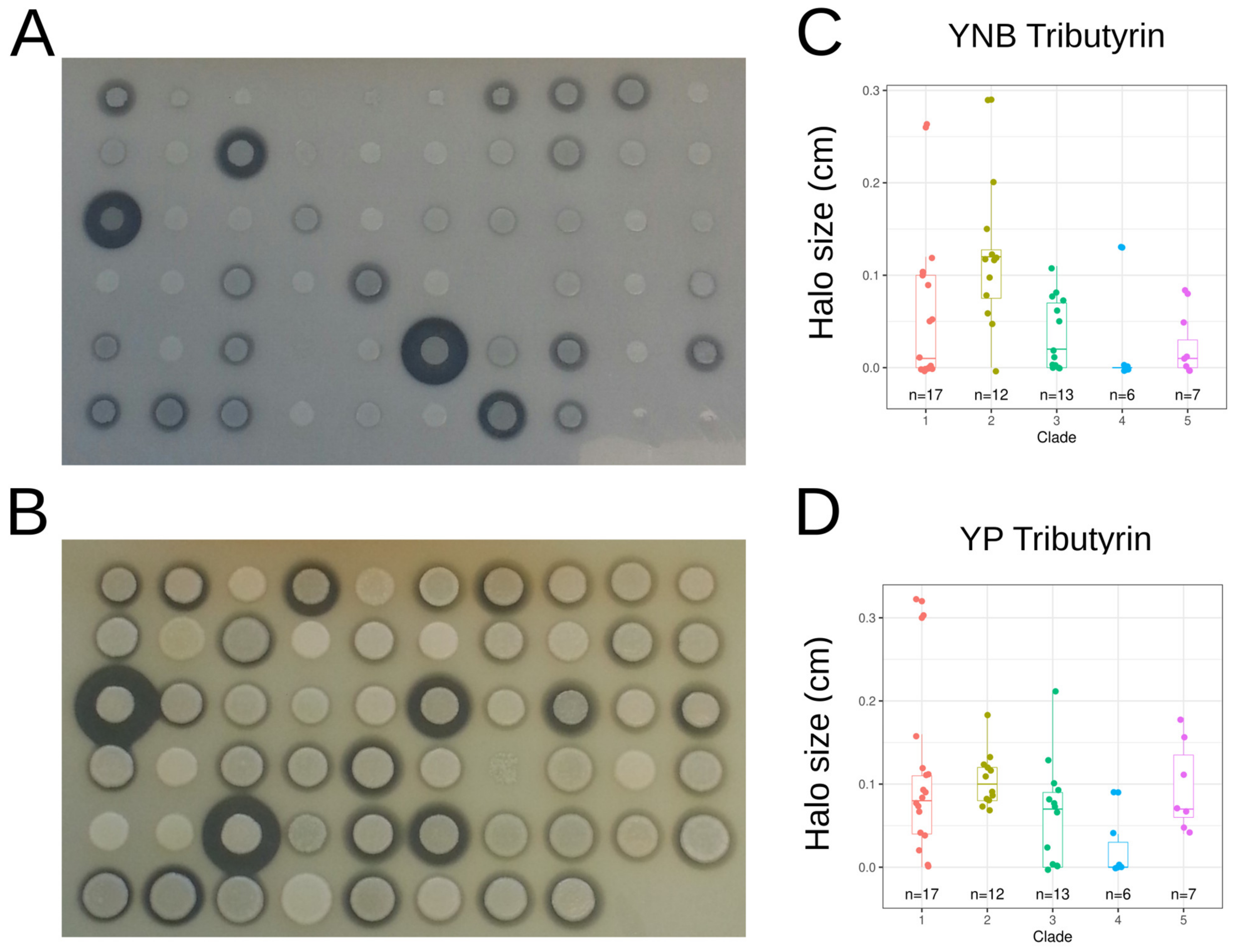 Jof 09 00076 g005 Jof 09 00076 g005