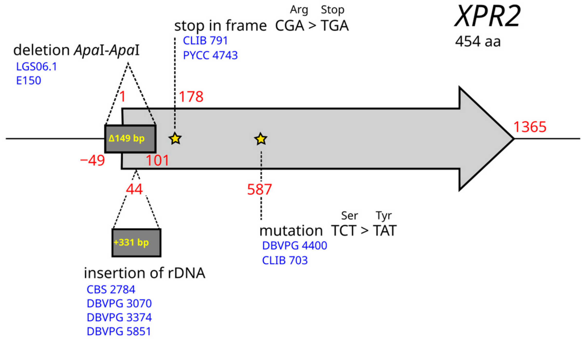 Jof 09 00076 g007 Jof 09 00076 g007