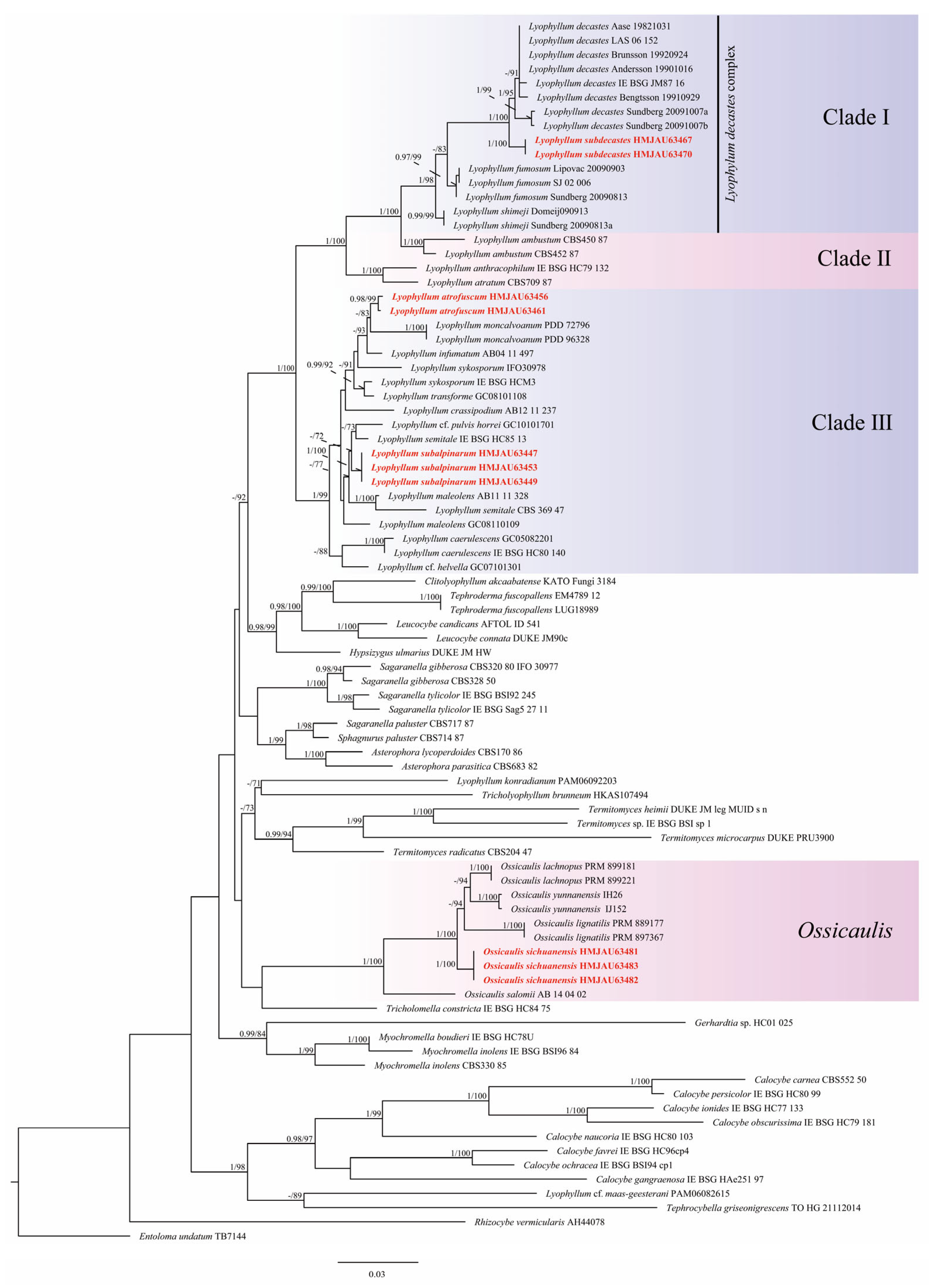 Jof 09 00077 g001 Jof 09 00077 g001