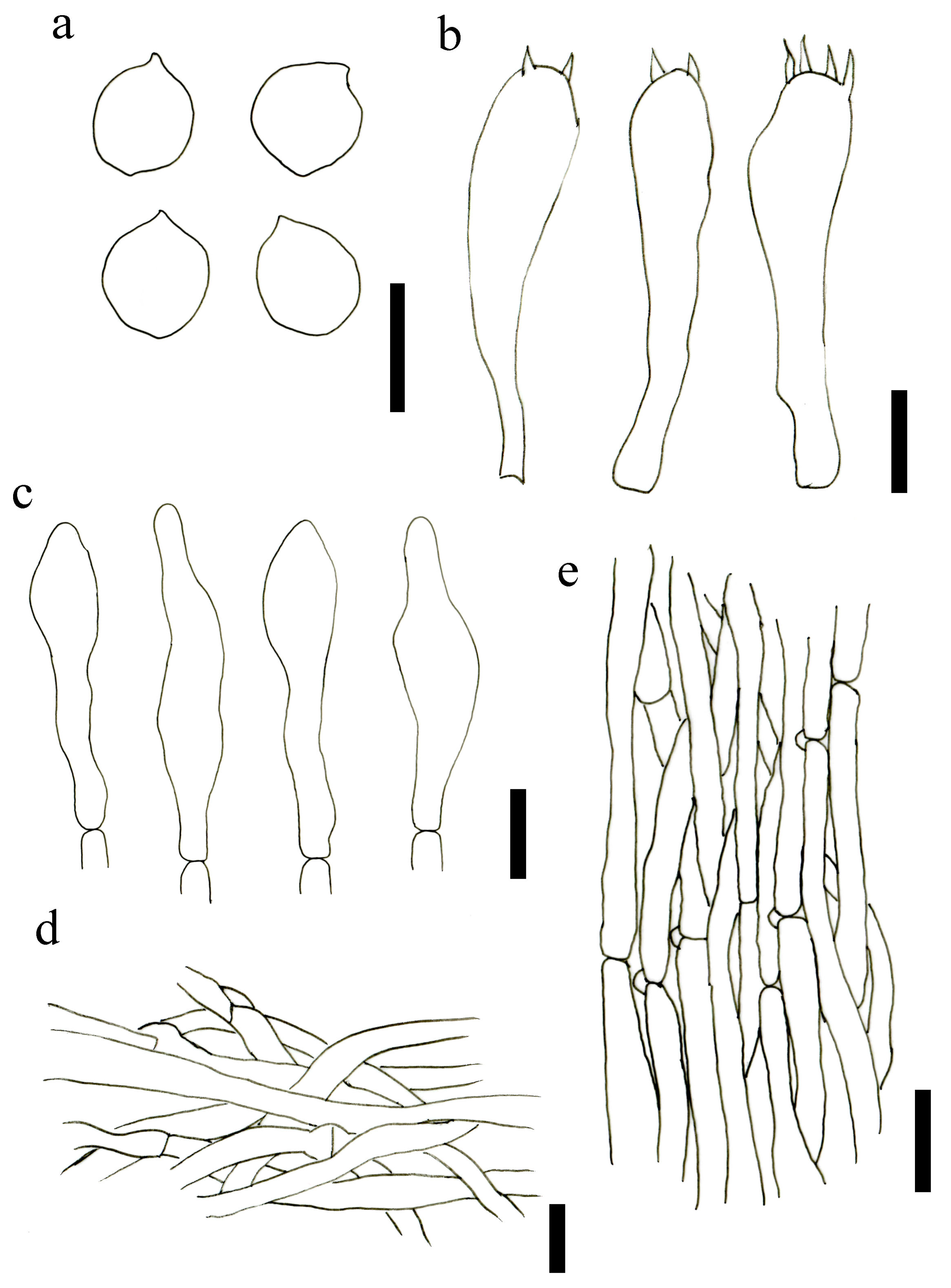 Jof 09 00077 g006 Jof 09 00077 g006