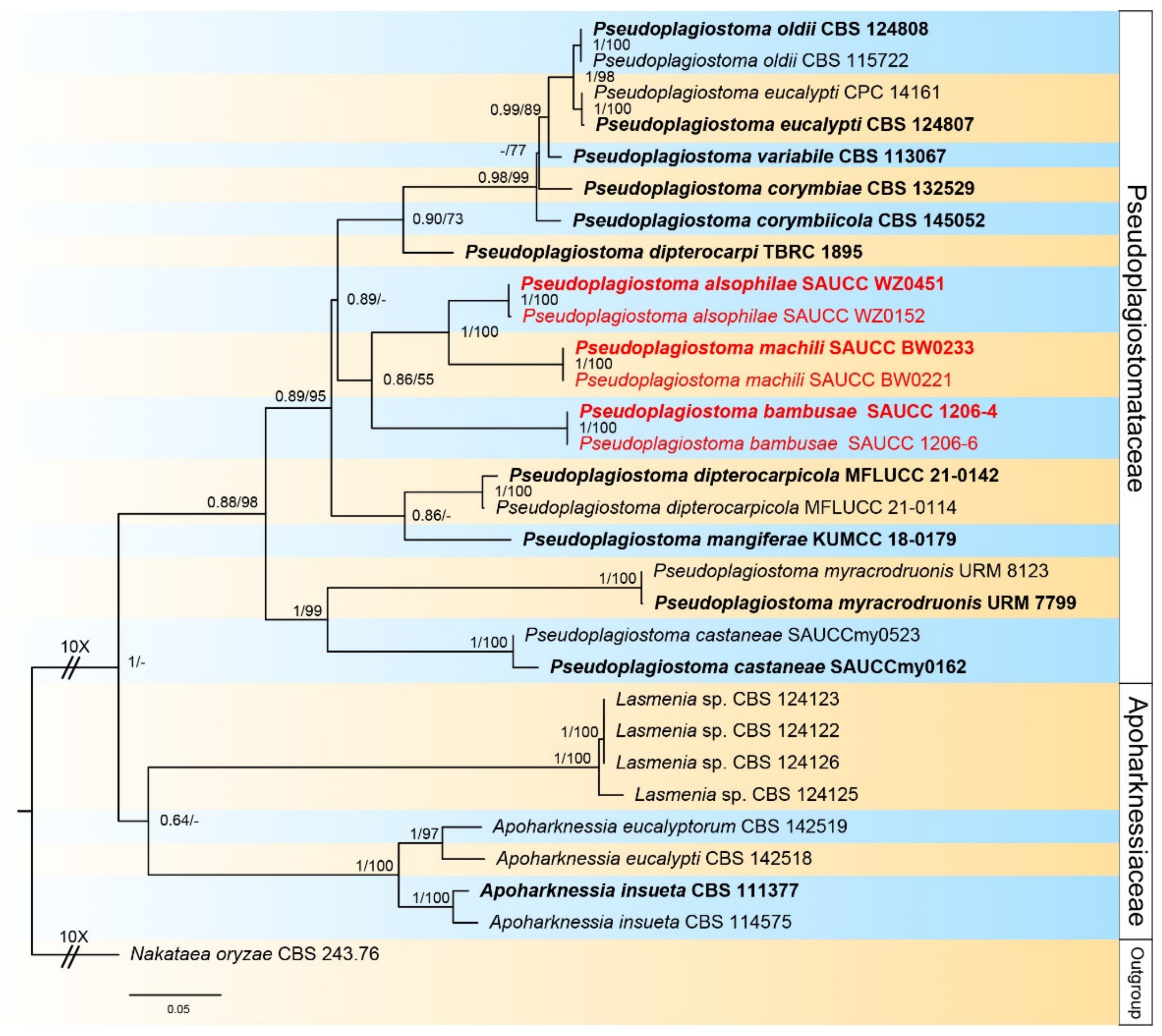 Jof 09 00082 g001 Jof 09 00082 g001