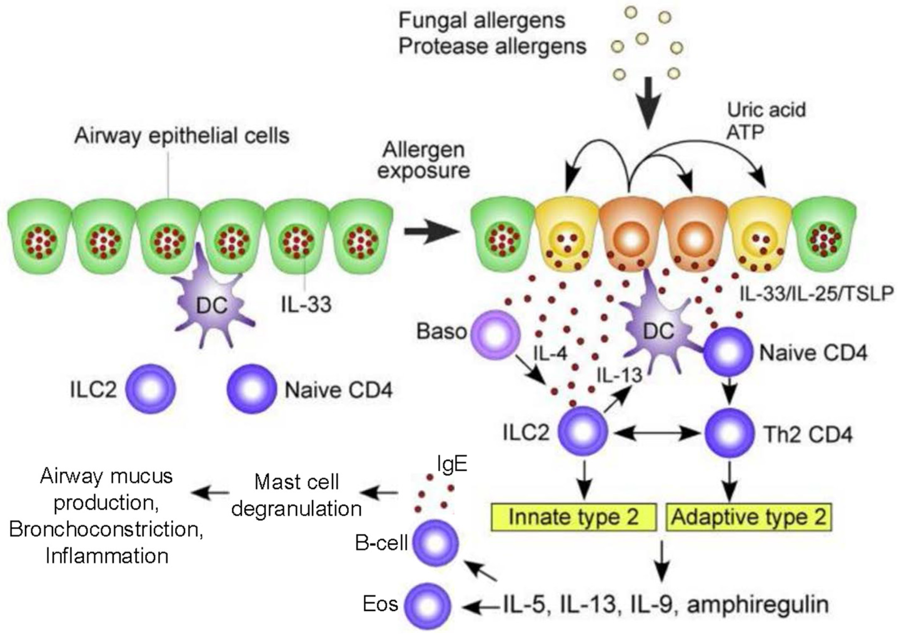 Jof 09 00085 g003 Jof 09 00085 g003
