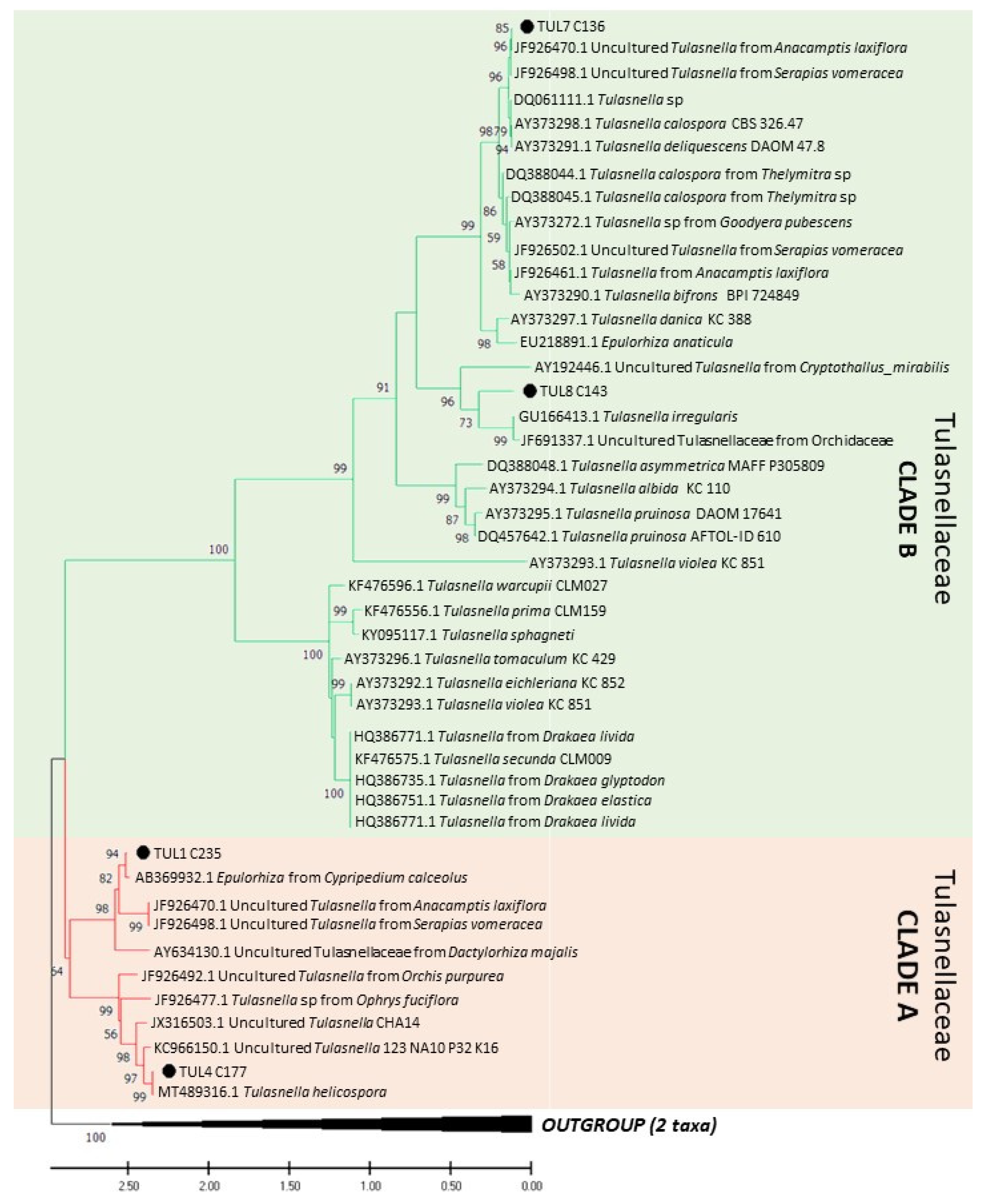 Jof 09 00088 g001a Jof 09 00088 g001a