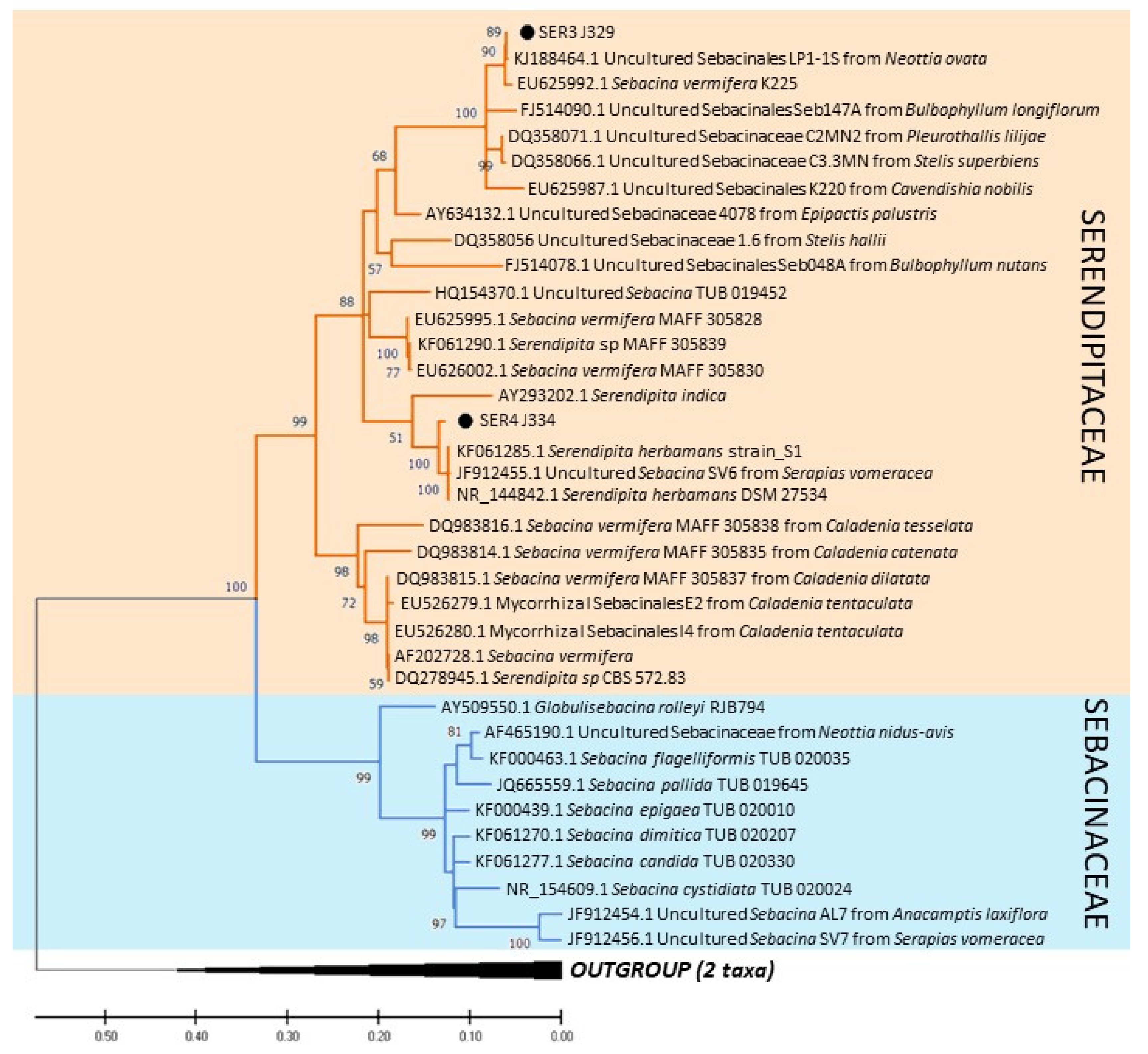 Jof 09 00088 g001b Jof 09 00088 g001b