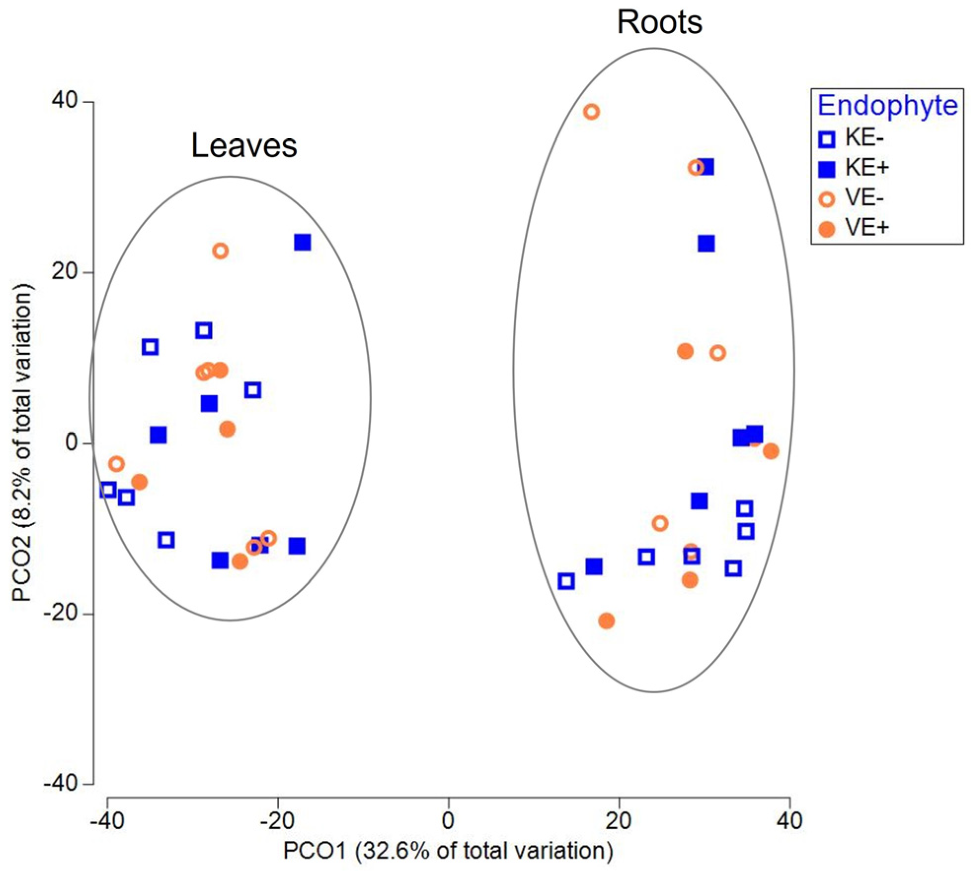 Jof 09 00090 g007 Jof 09 00090 g007