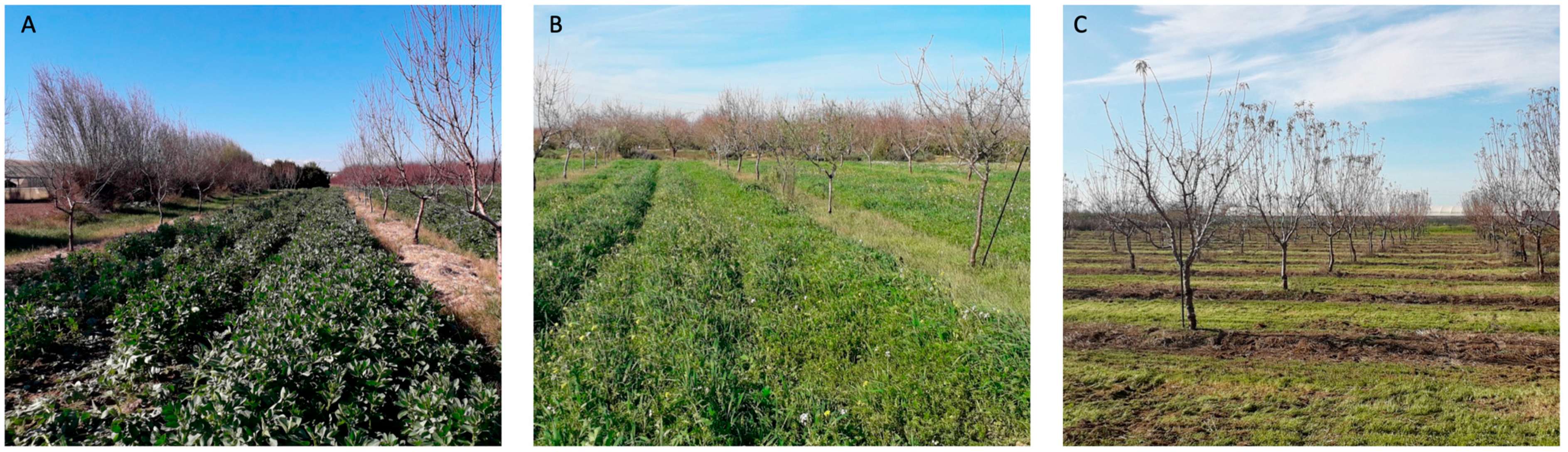 Jof 09 00095 g001 Jof 09 00095 g001