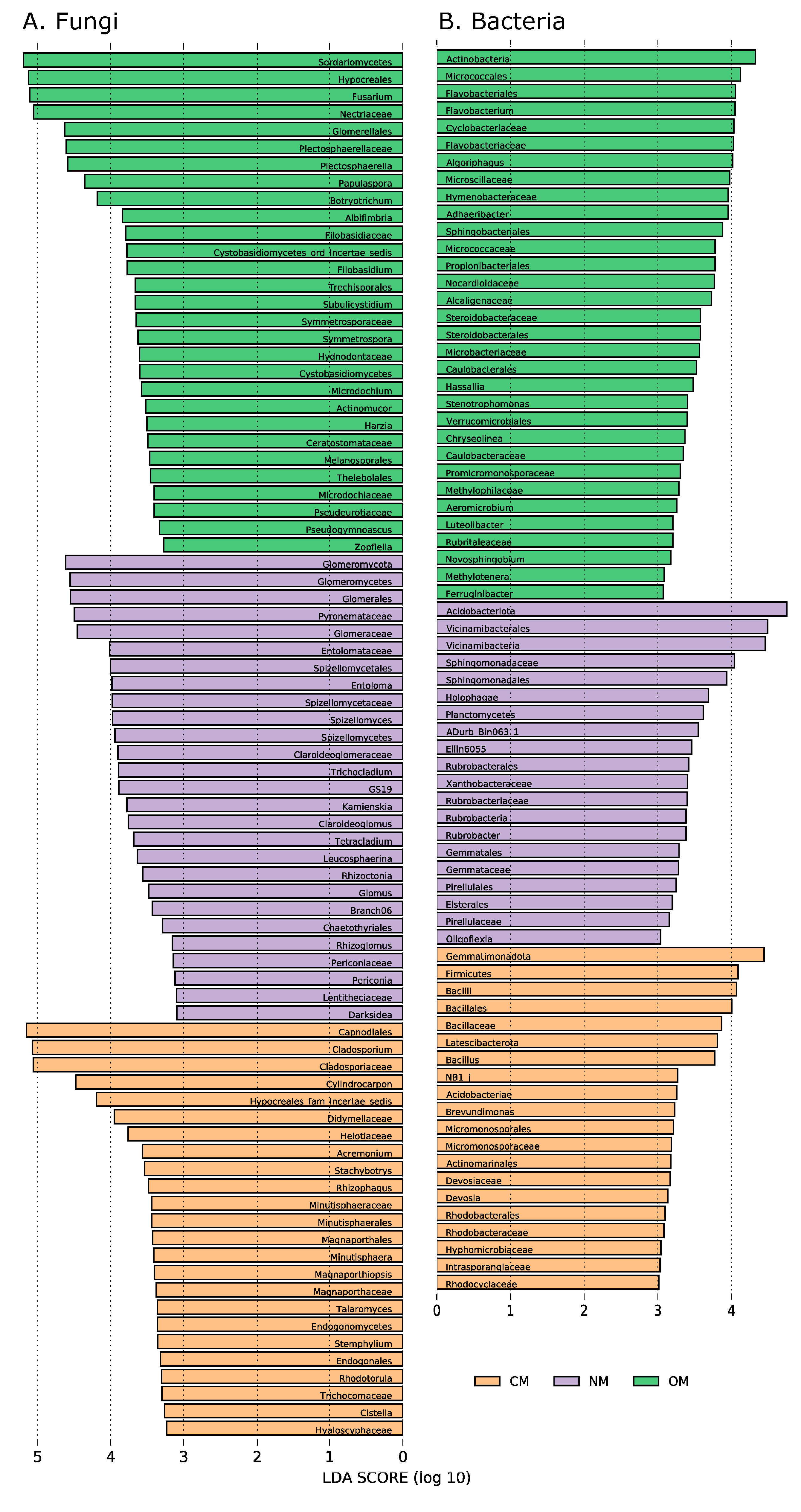 Jof 09 00095 g005 Jof 09 00095 g005