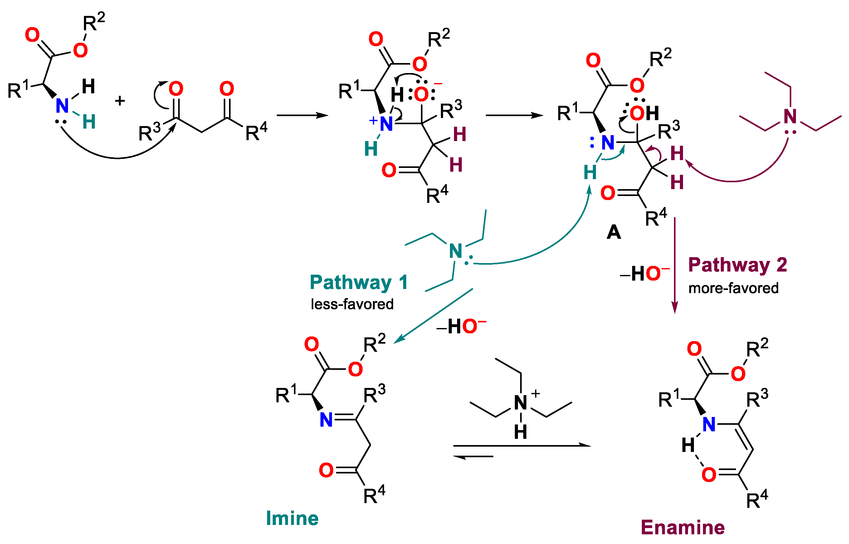 Jof 09 00113 sch002 Jof 09 00113 sch002