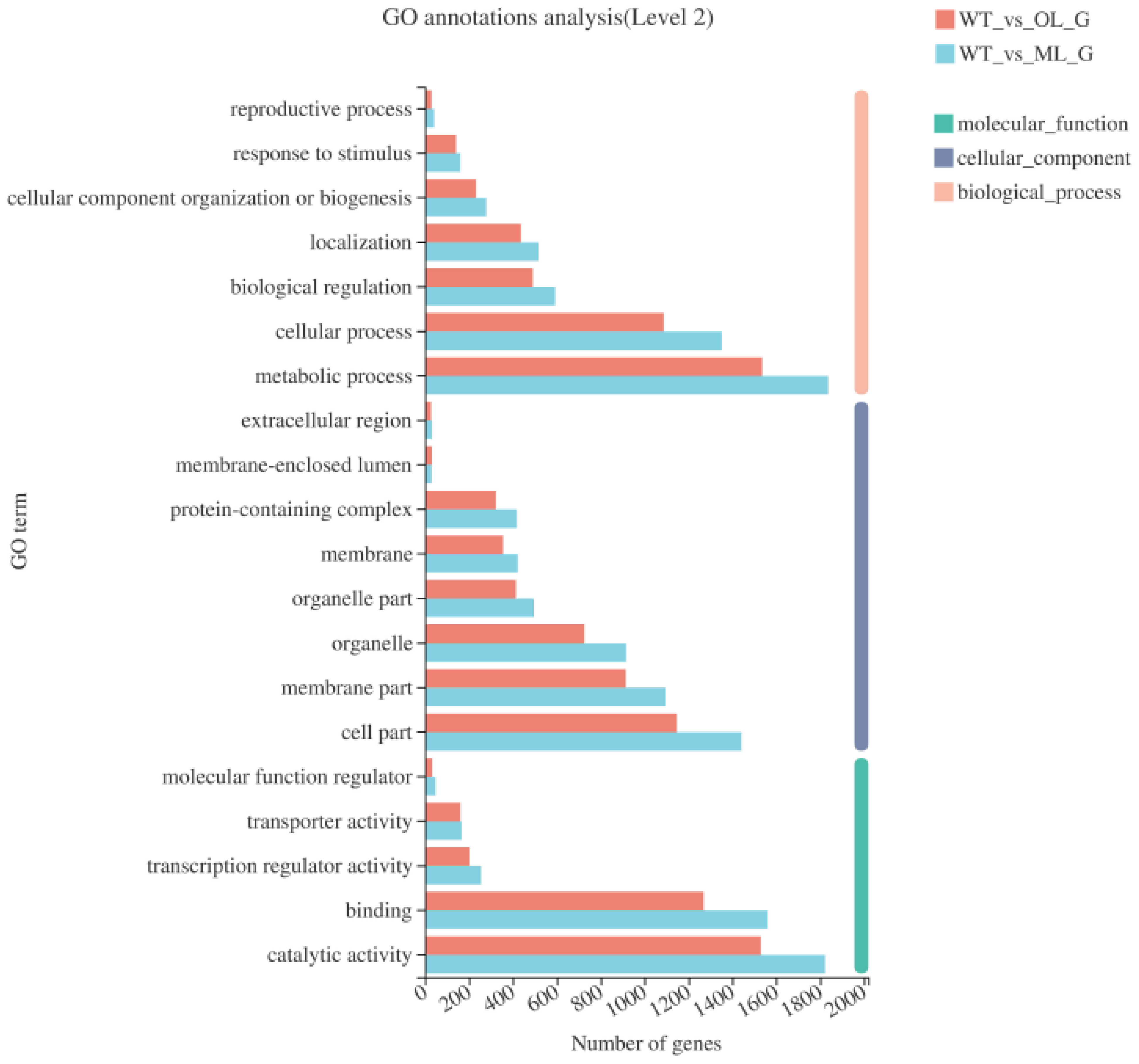 Jof 09 00120 g002 Jof 09 00120 g002