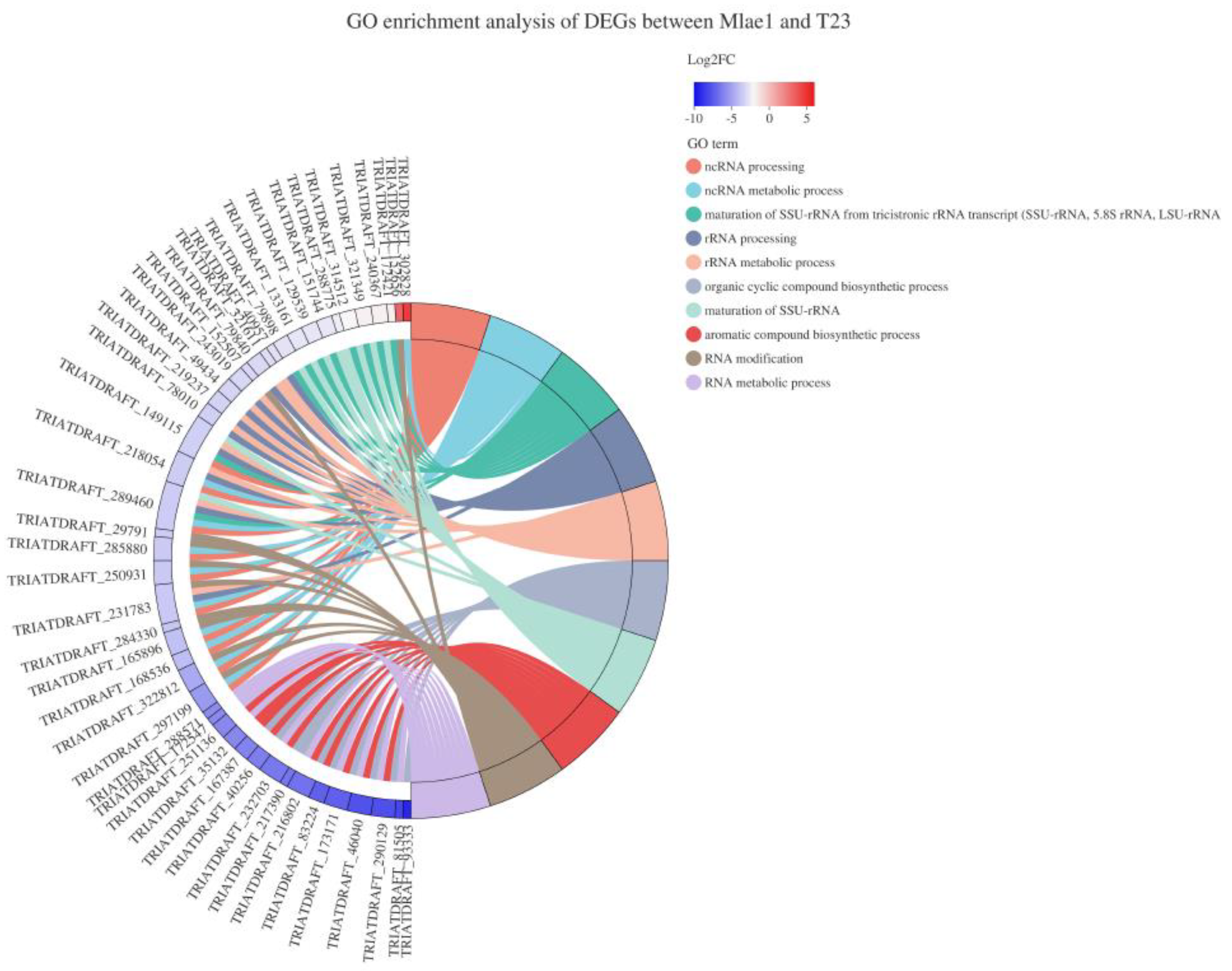 Jof 09 00120 g003 Jof 09 00120 g003
