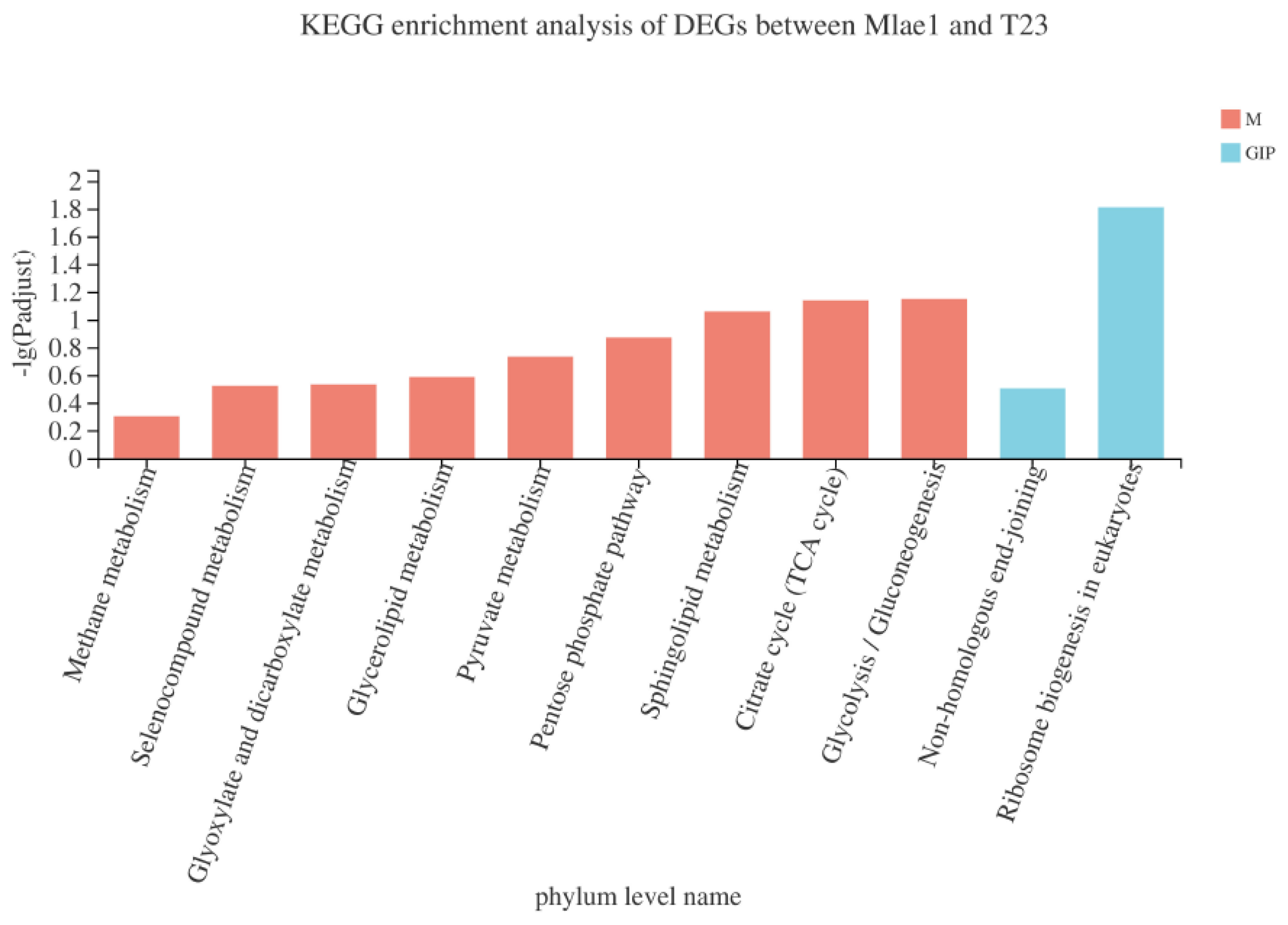 Jof 09 00120 g004 Jof 09 00120 g004