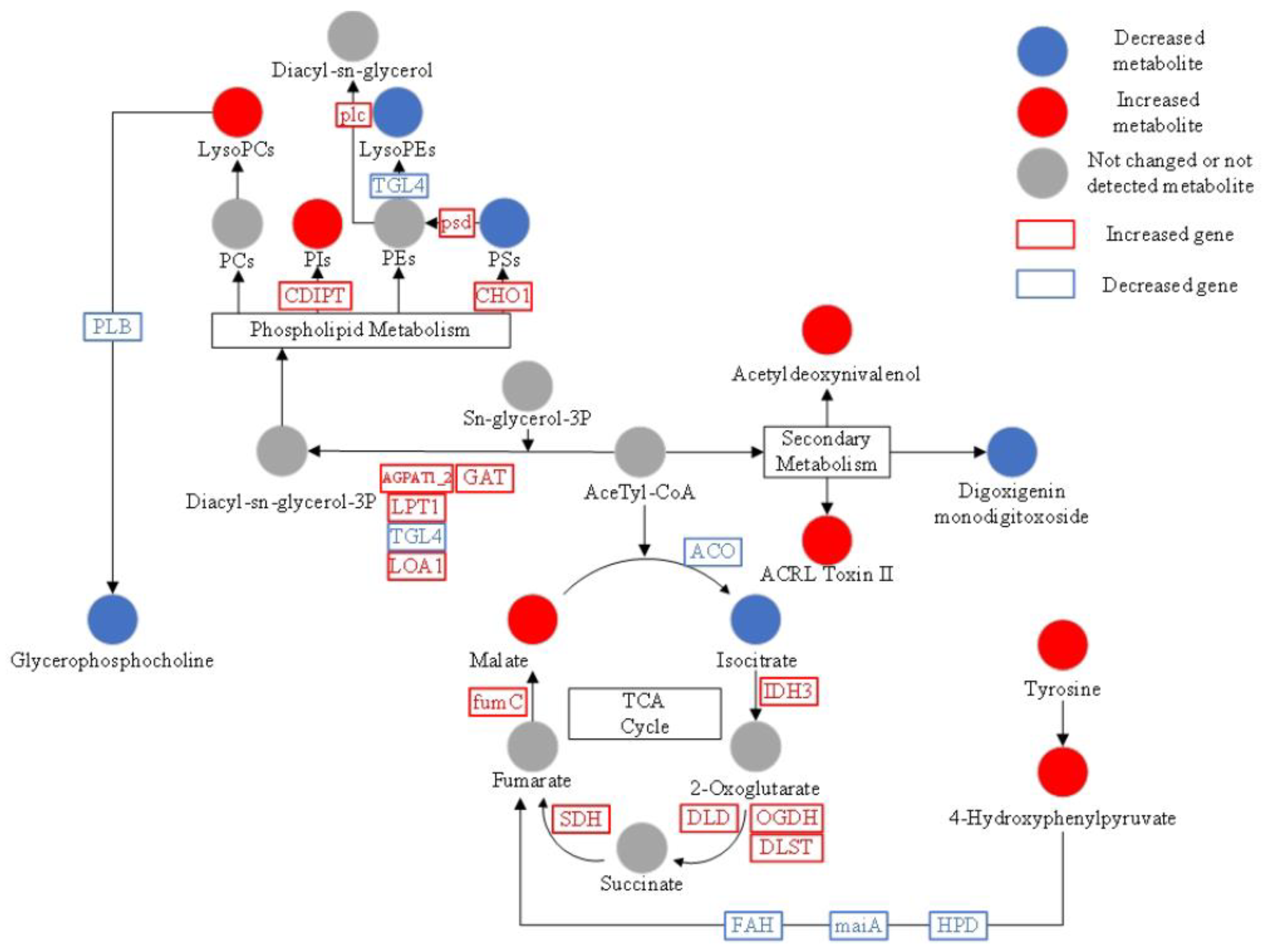 Jof 09 00120 g007 Jof 09 00120 g007