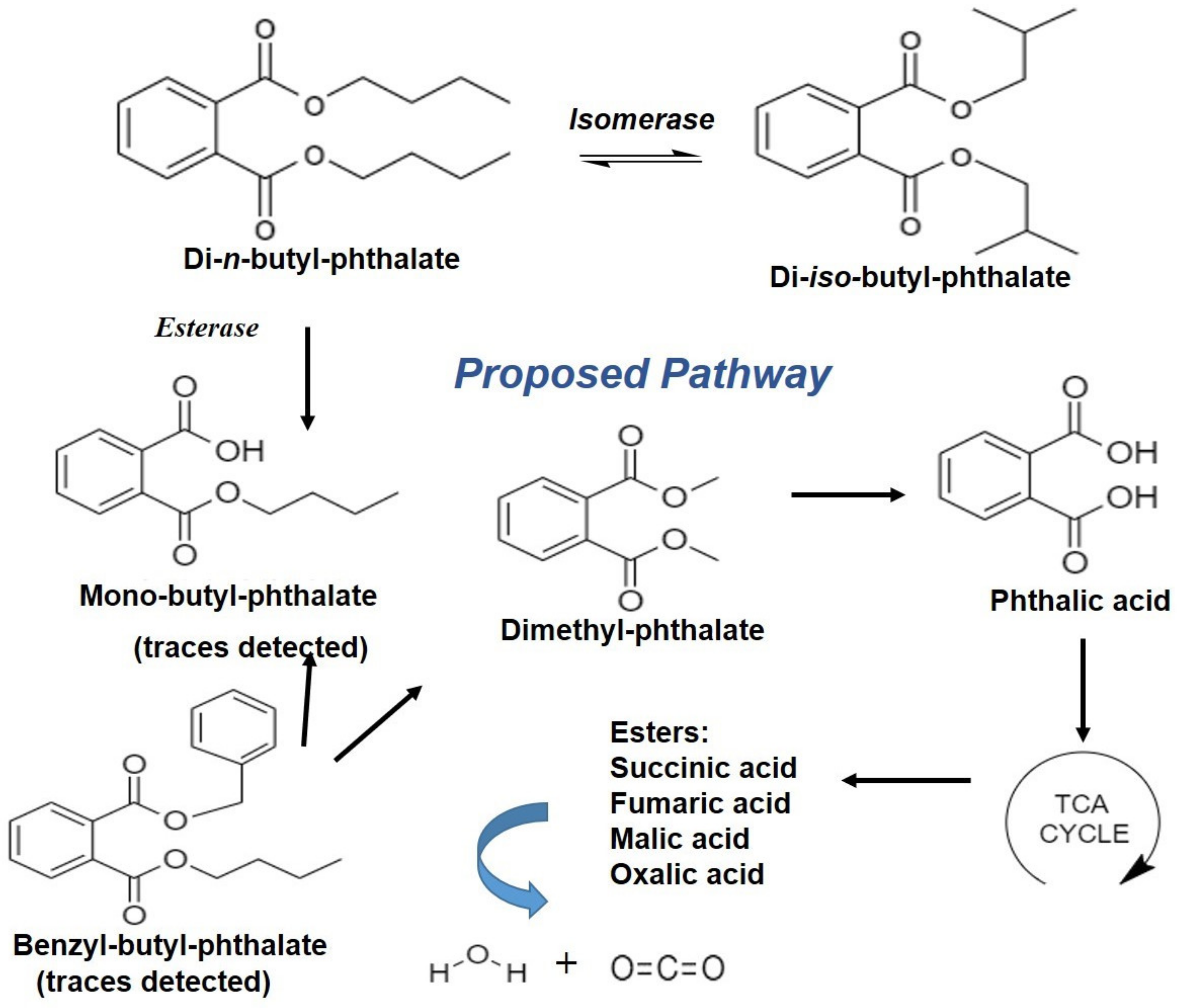 Jof 09 00125 g008 Jof 09 00125 g008
