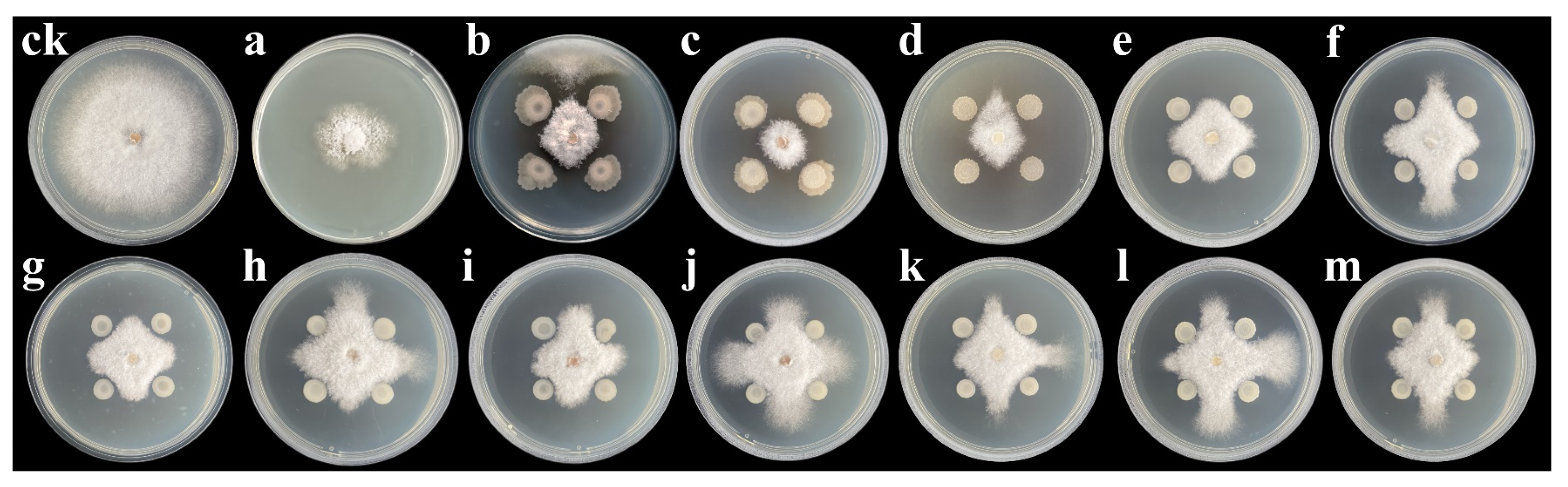 Jof 09 00132 g001 Jof 09 00132 g001