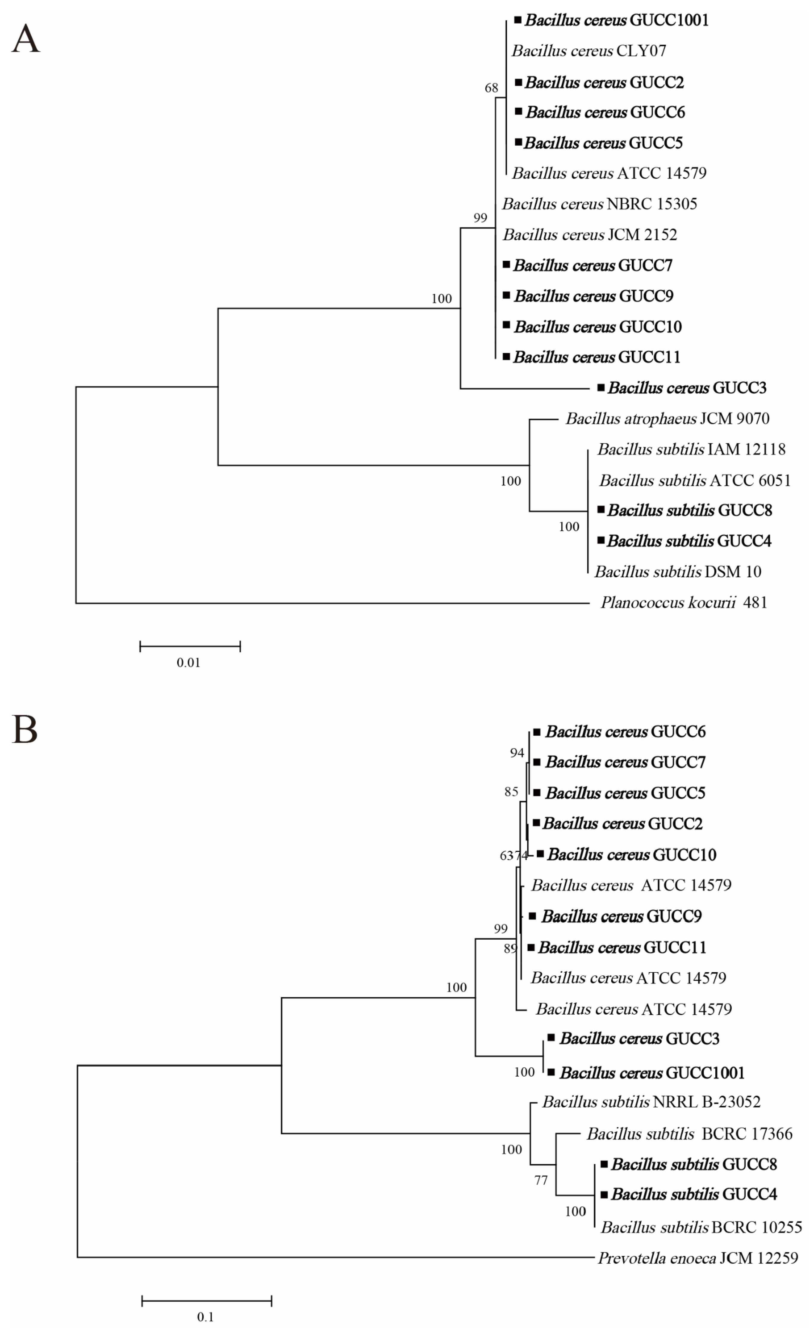 Jof 09 00132 g002 Jof 09 00132 g002