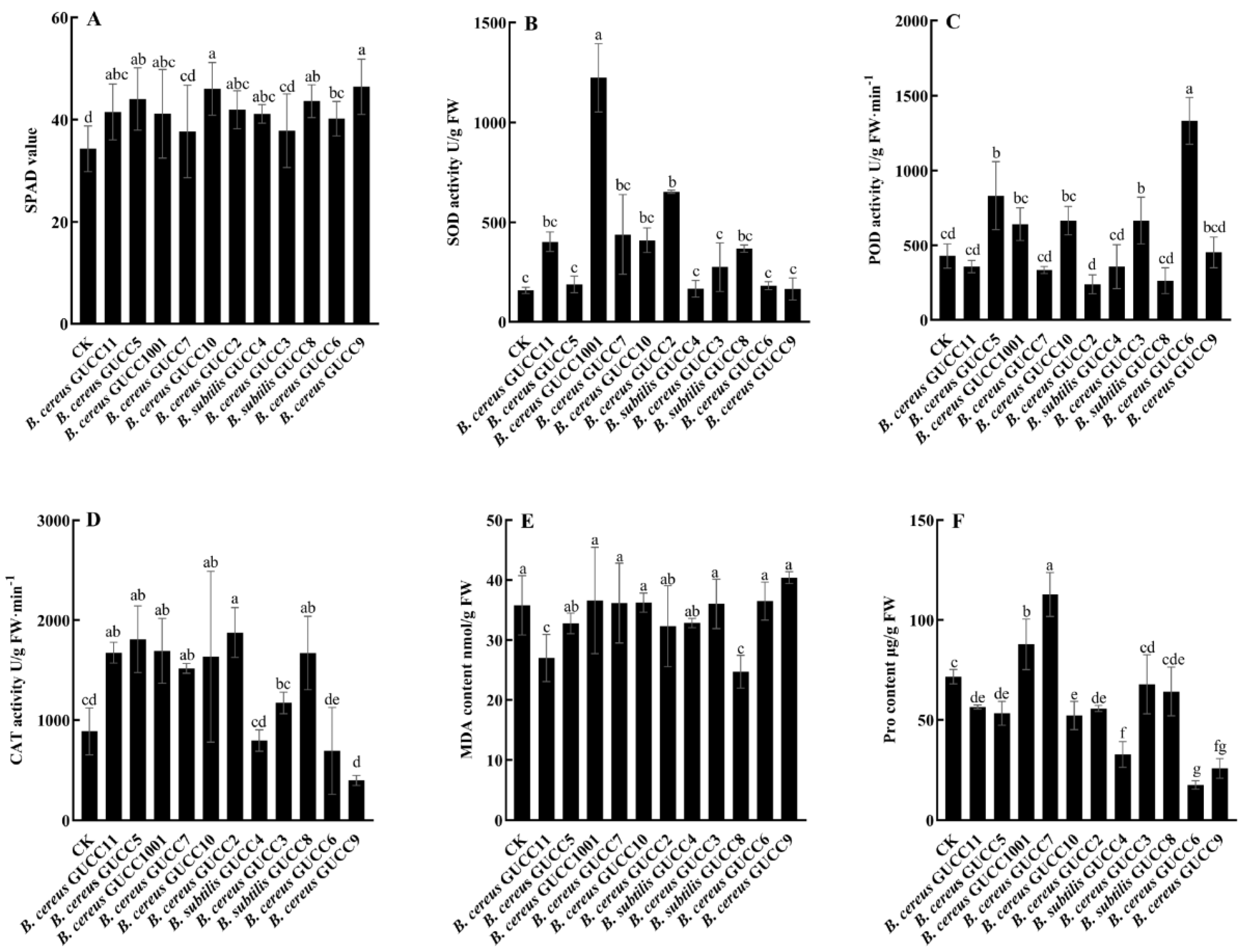 Jof 09 00132 g004 Jof 09 00132 g004