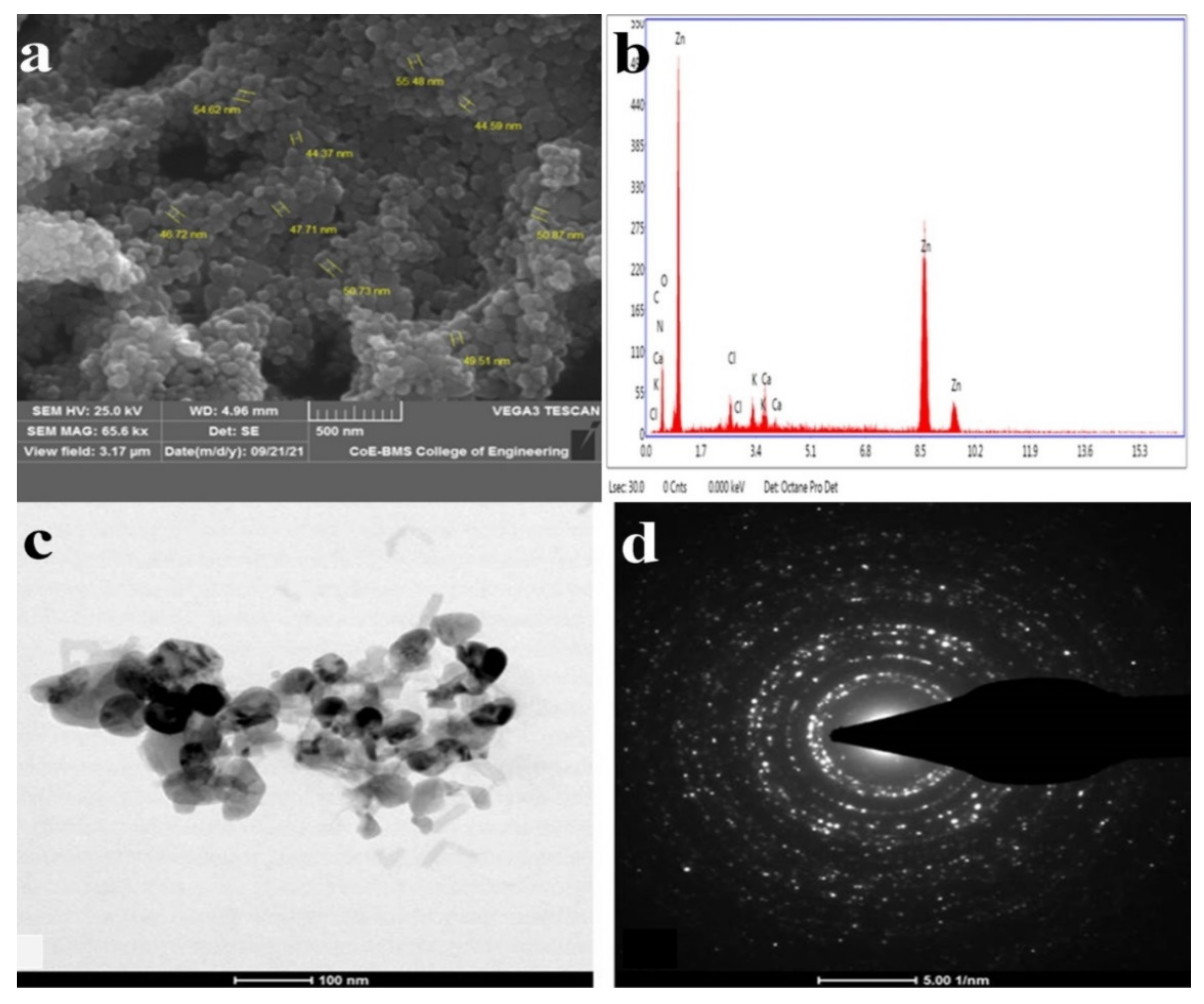 Jof 09 00133 g002 Jof 09 00133 g002