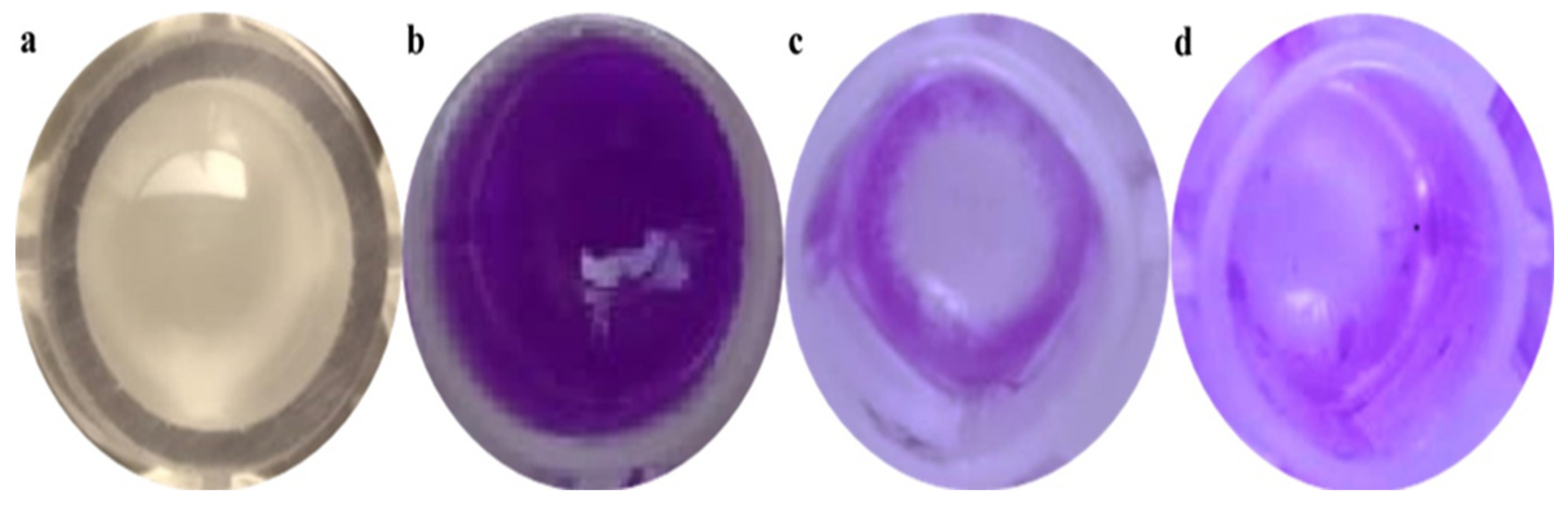 Jof 09 00133 g004 Jof 09 00133 g004