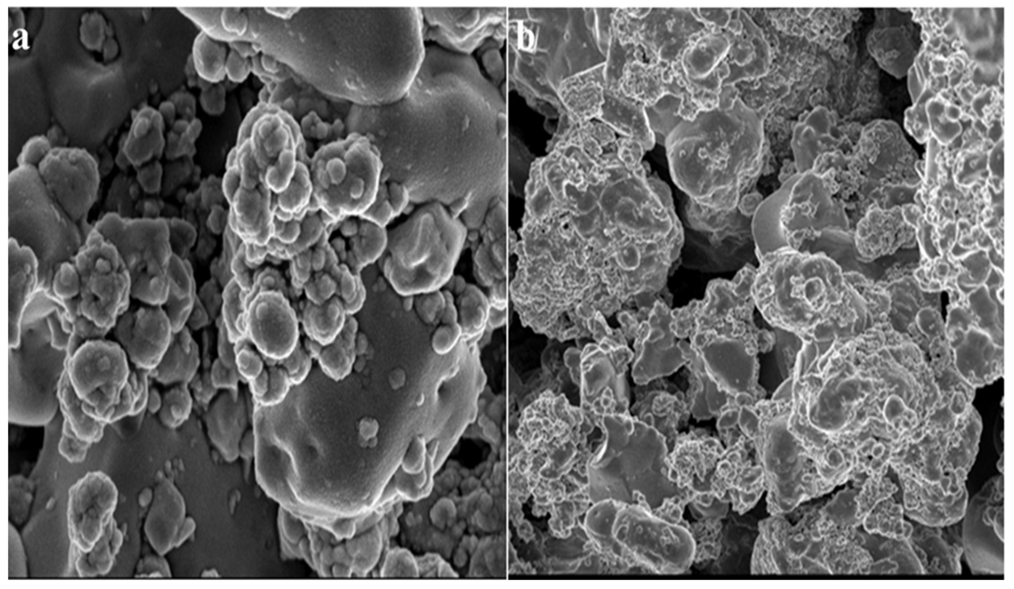 Jof 09 00133 g008 Jof 09 00133 g008