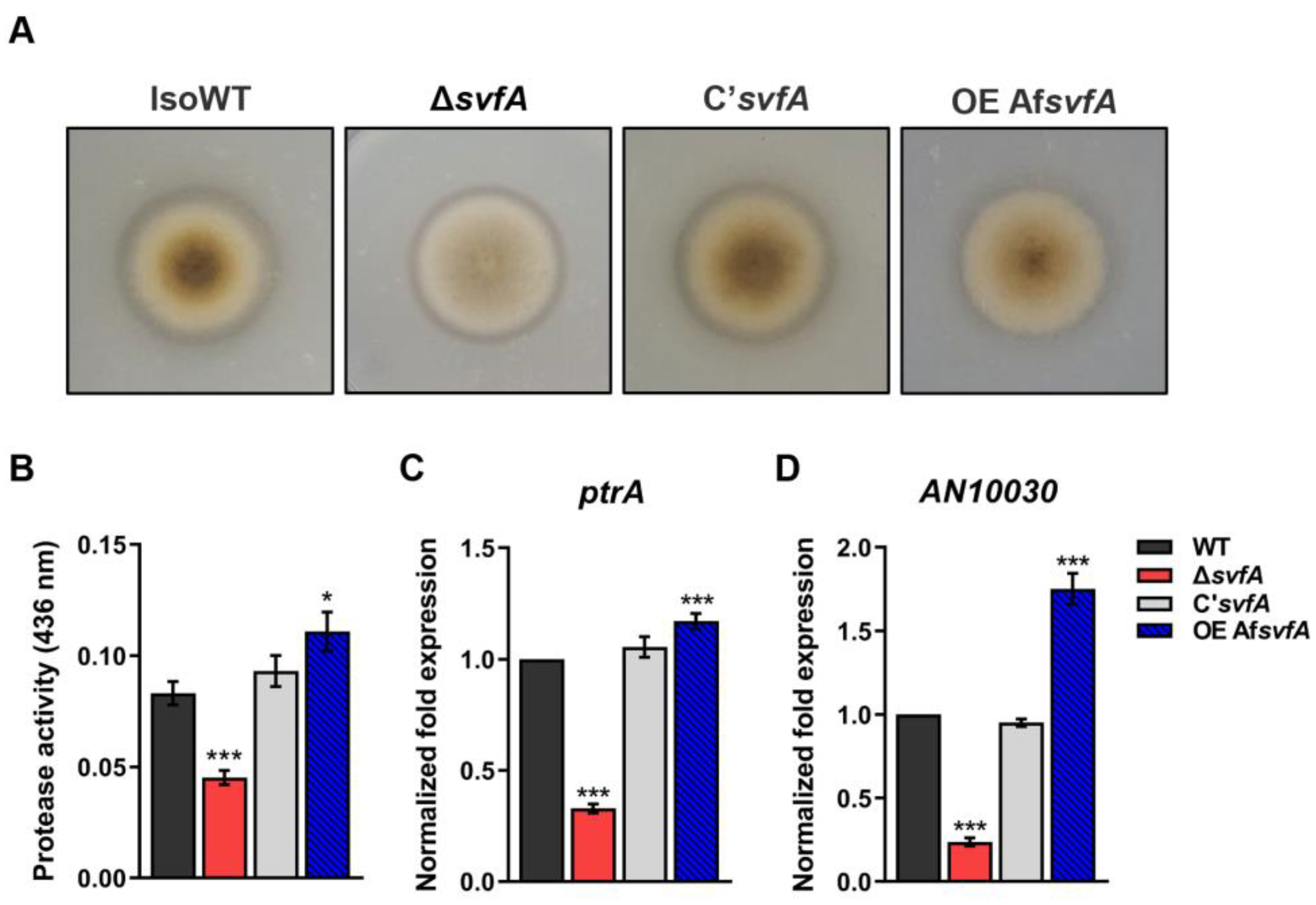 Jof 09 00143 g002 Jof 09 00143 g002