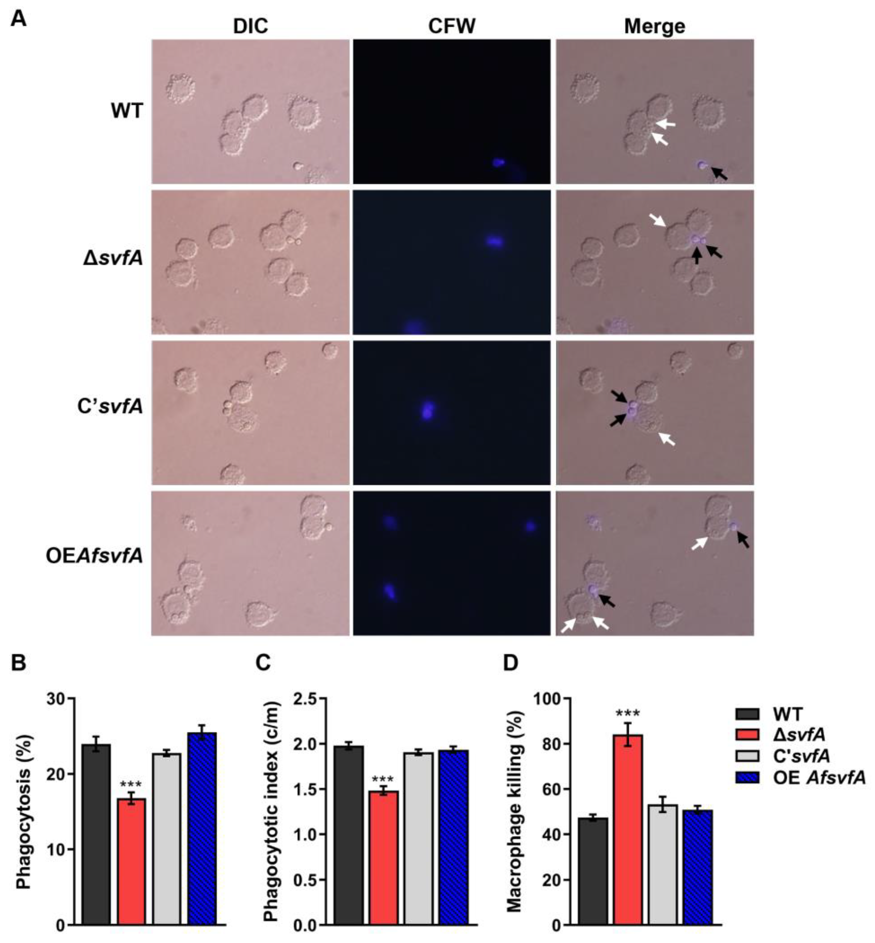 Jof 09 00143 g003 Jof 09 00143 g003
