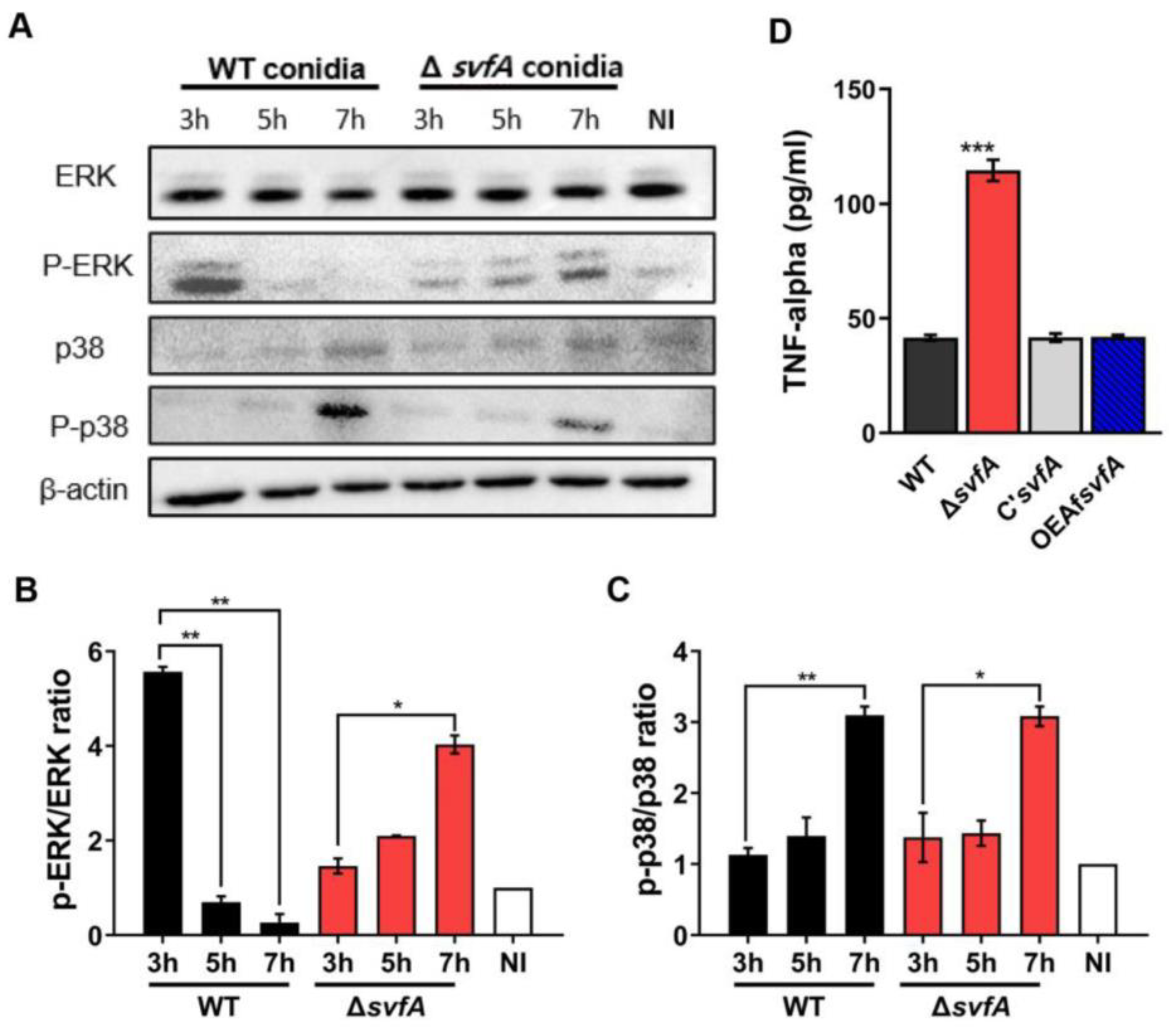 Jof 09 00143 g006 Jof 09 00143 g006