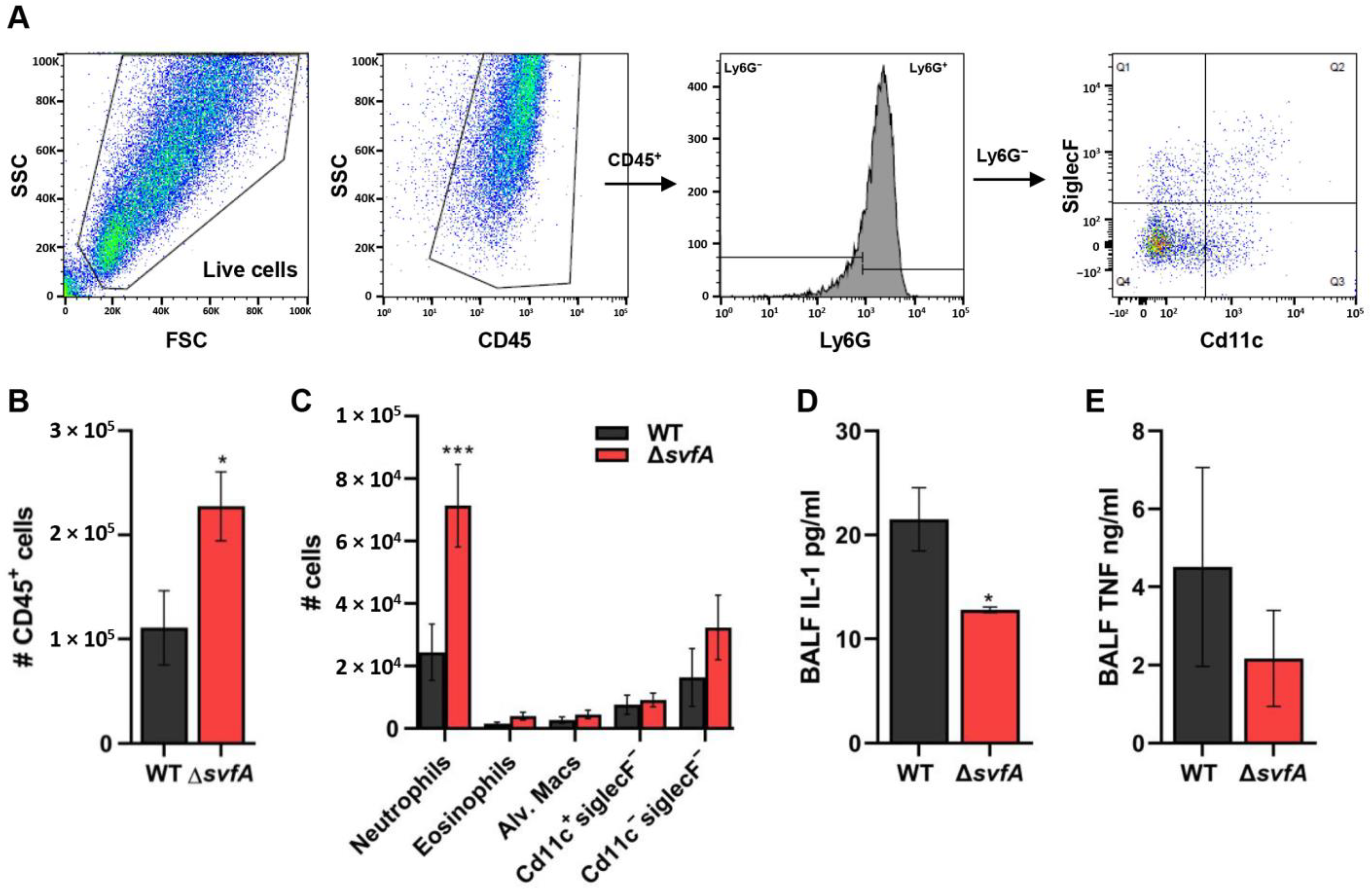 Jof 09 00143 g008 Jof 09 00143 g008