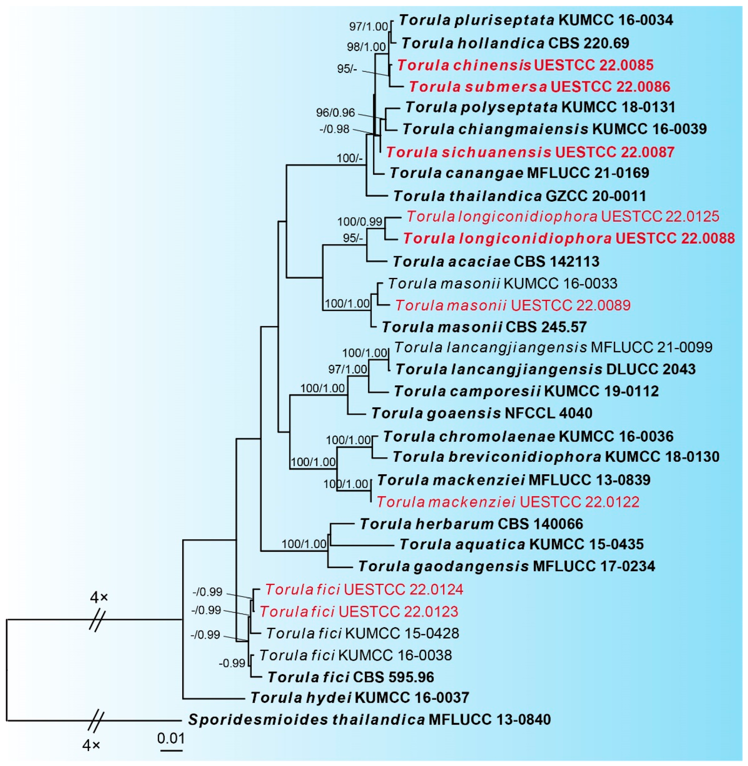 Jof 09 00150 g001 Jof 09 00150 g001