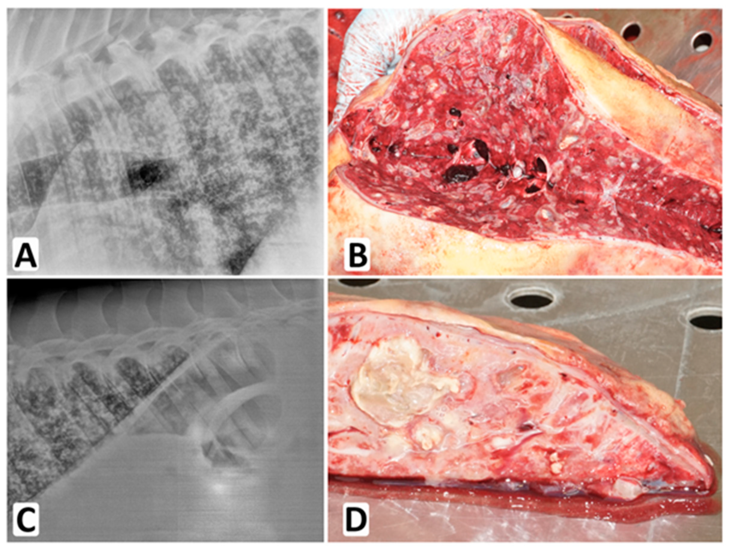 Jof 09 00161 g002 Jof 09 00161 g002