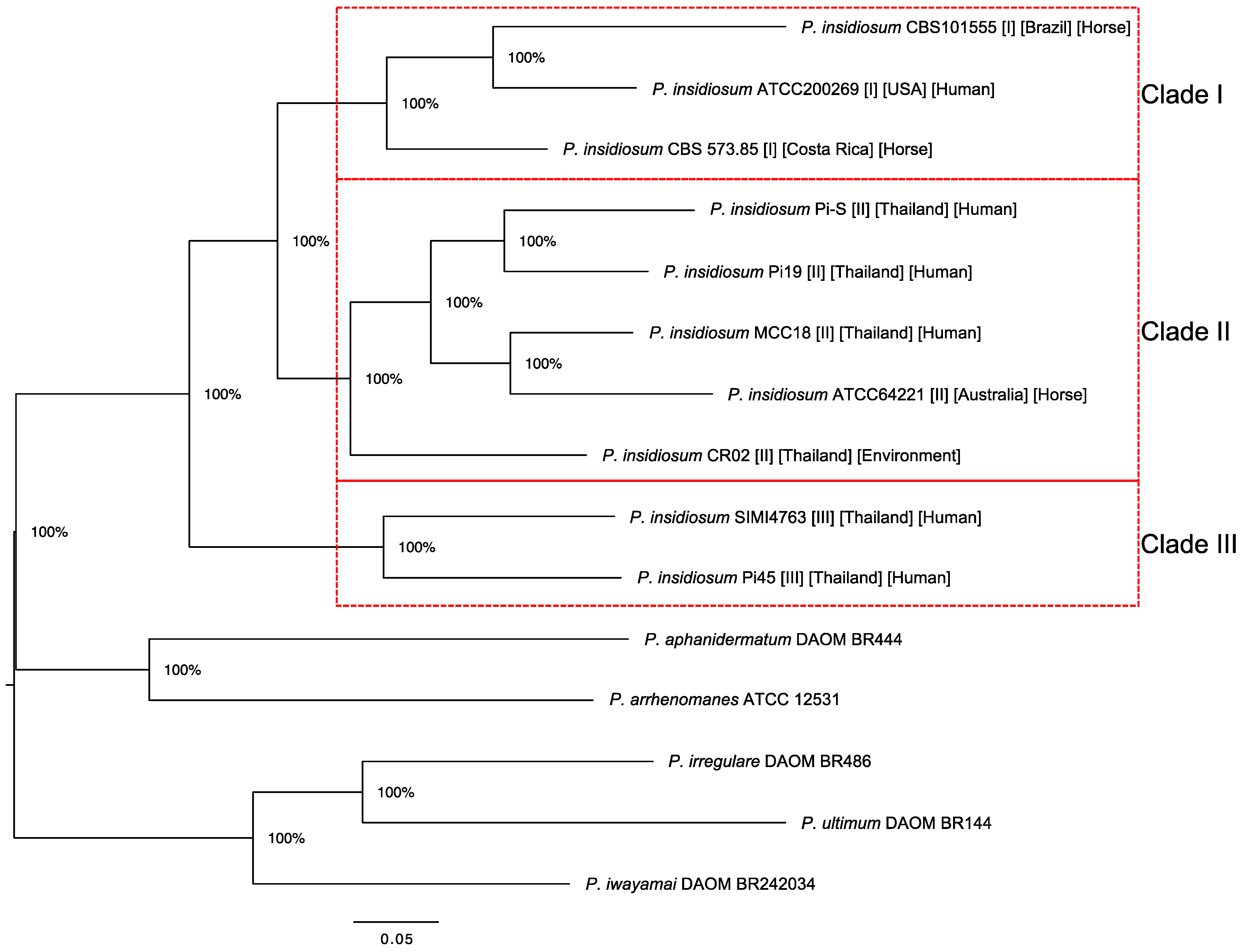 Jof 09 00169 g001 Jof 09 00169 g001