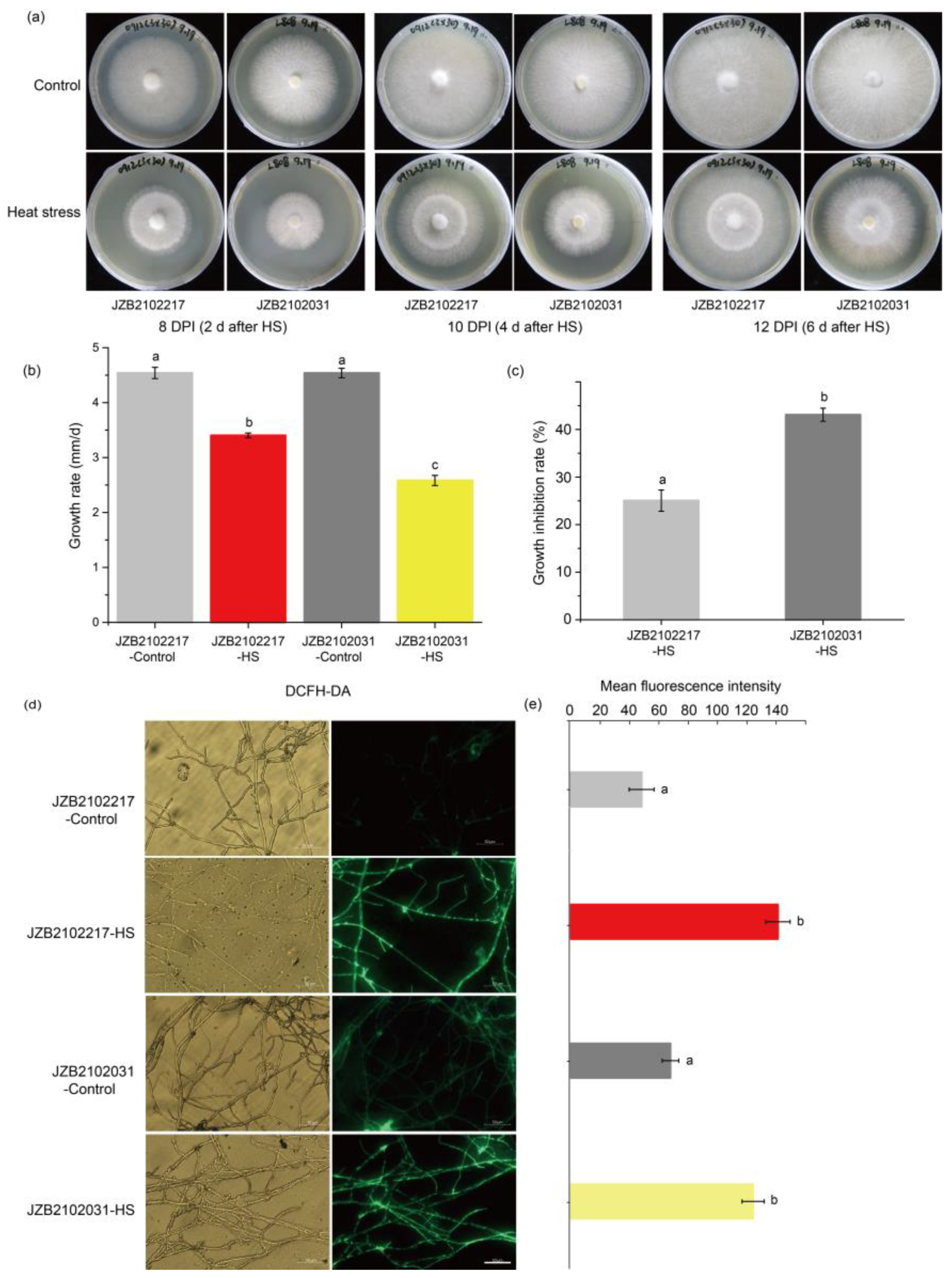 Jof 09 00179 g002 Jof 09 00179 g002