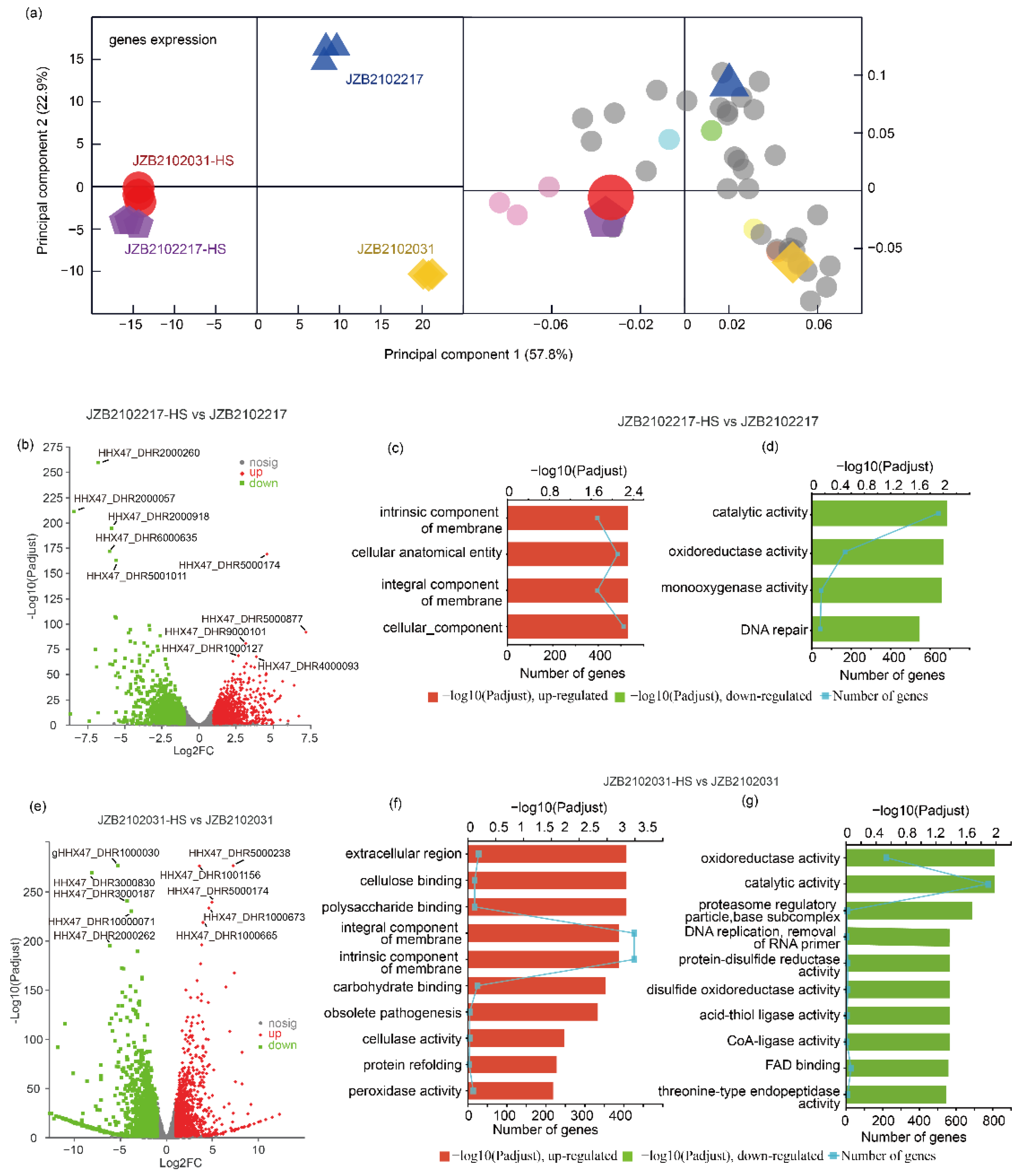 Jof 09 00179 g003 Jof 09 00179 g003