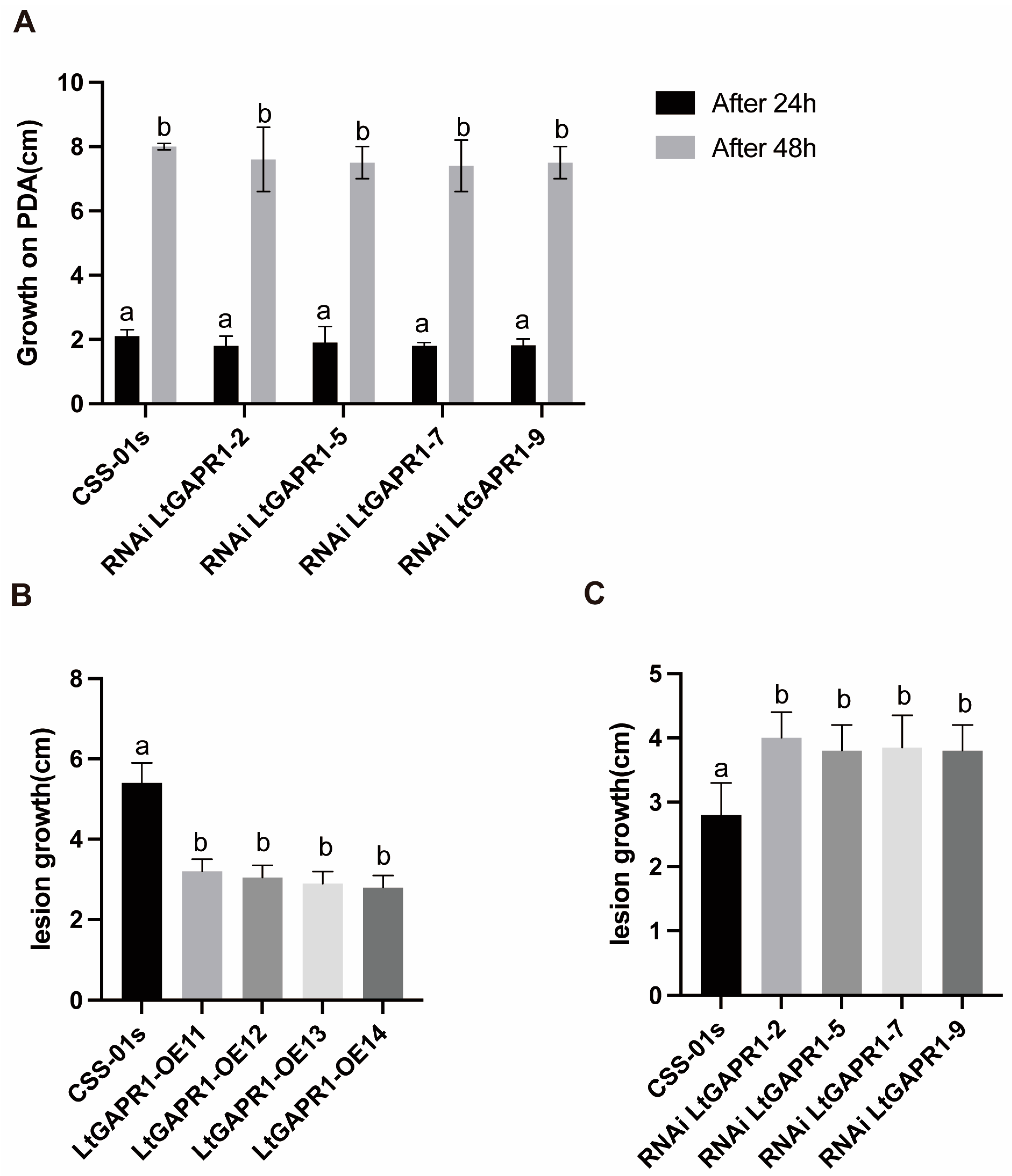 Jof 09 00188 g002 Jof 09 00188 g002